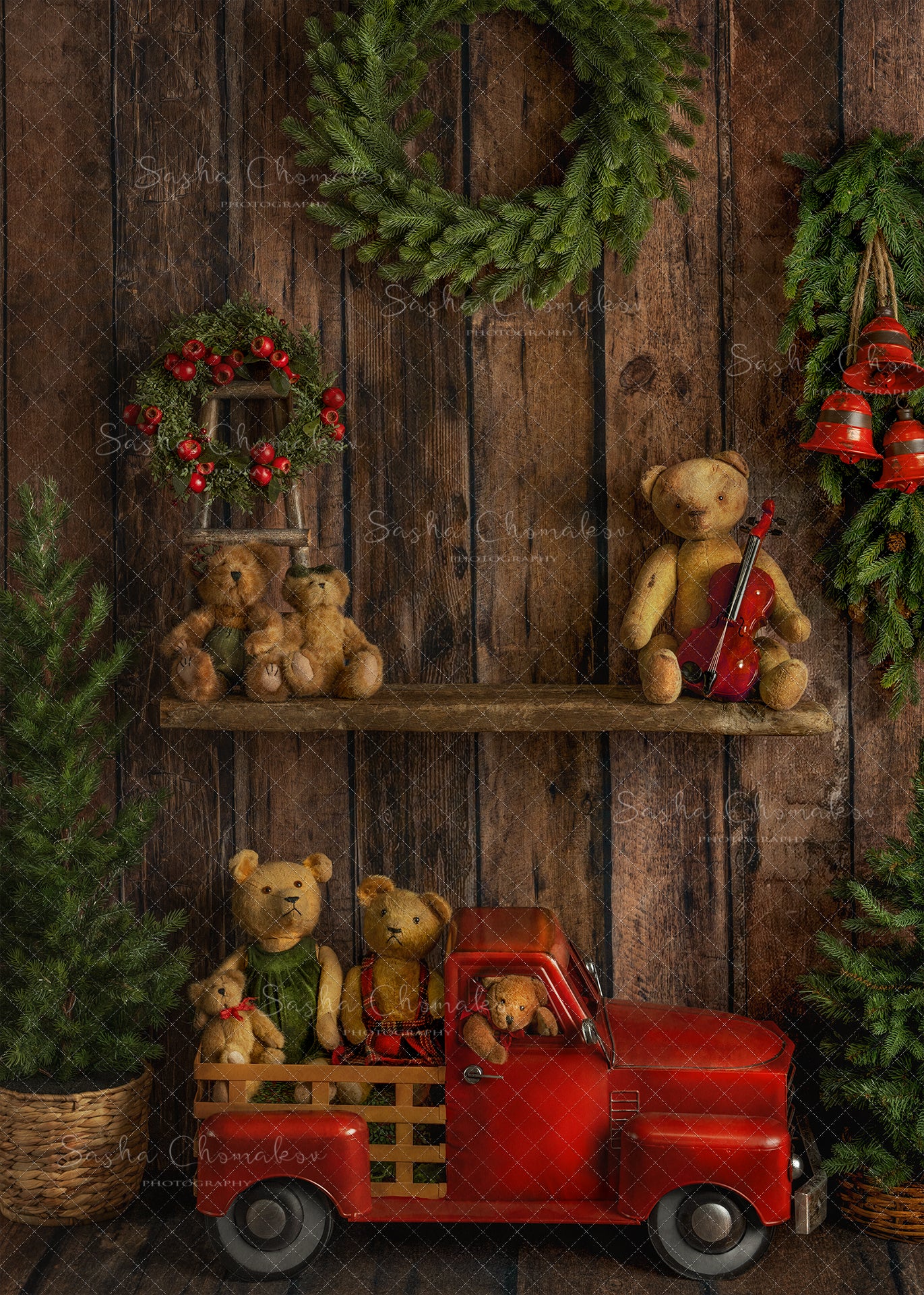 Digital Backdrop