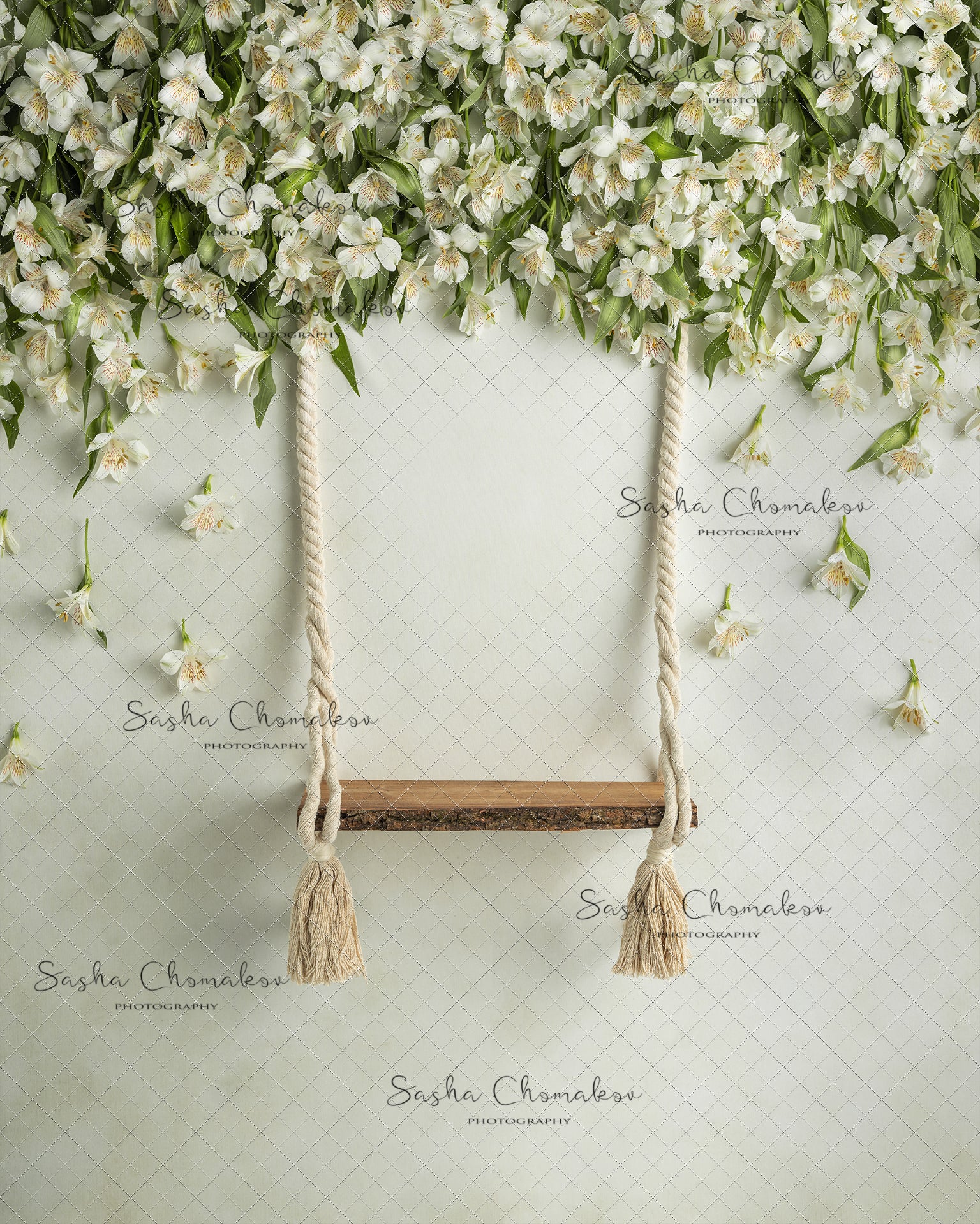 Digital Backdrop