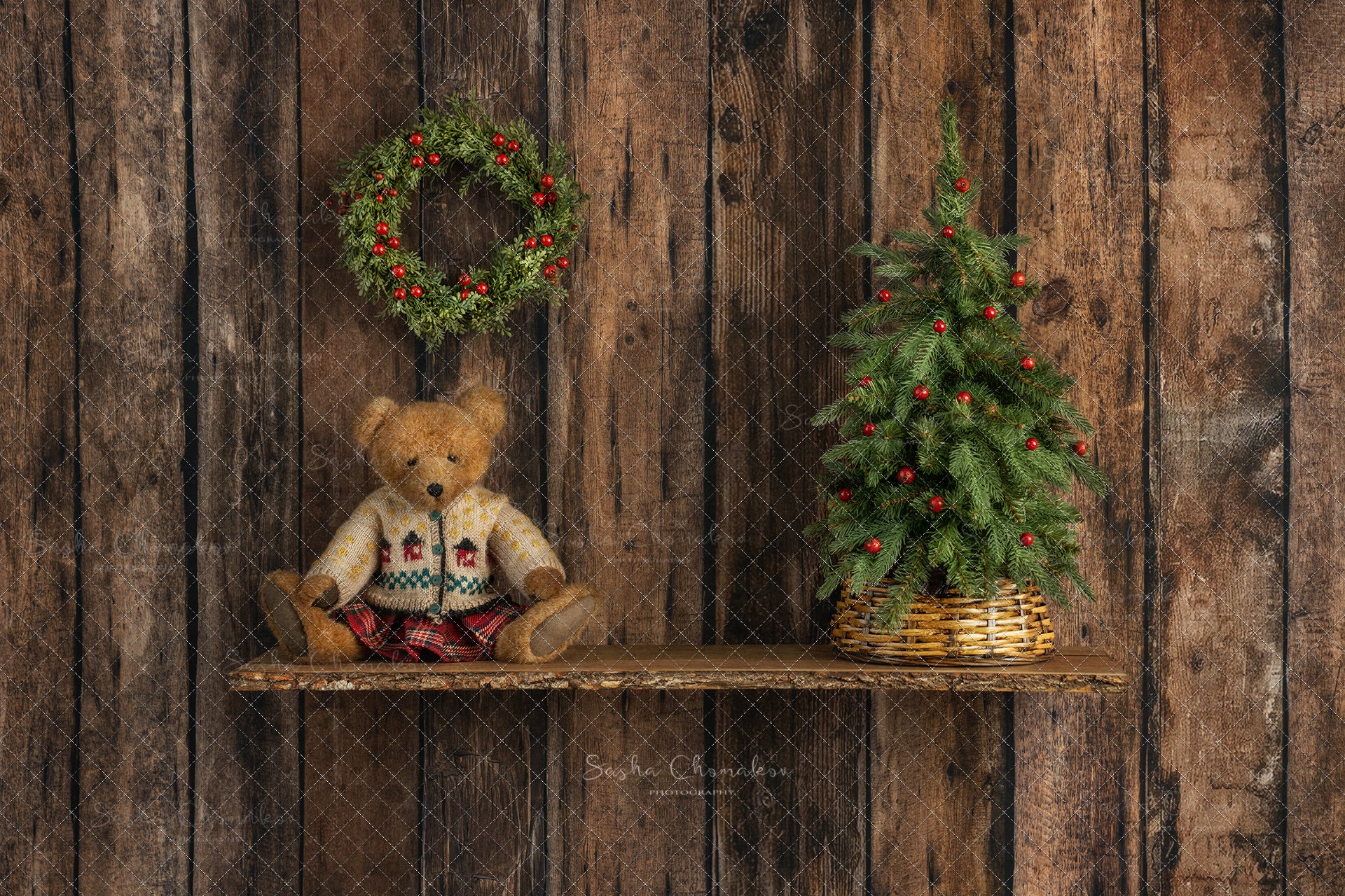 Digital Backdrop