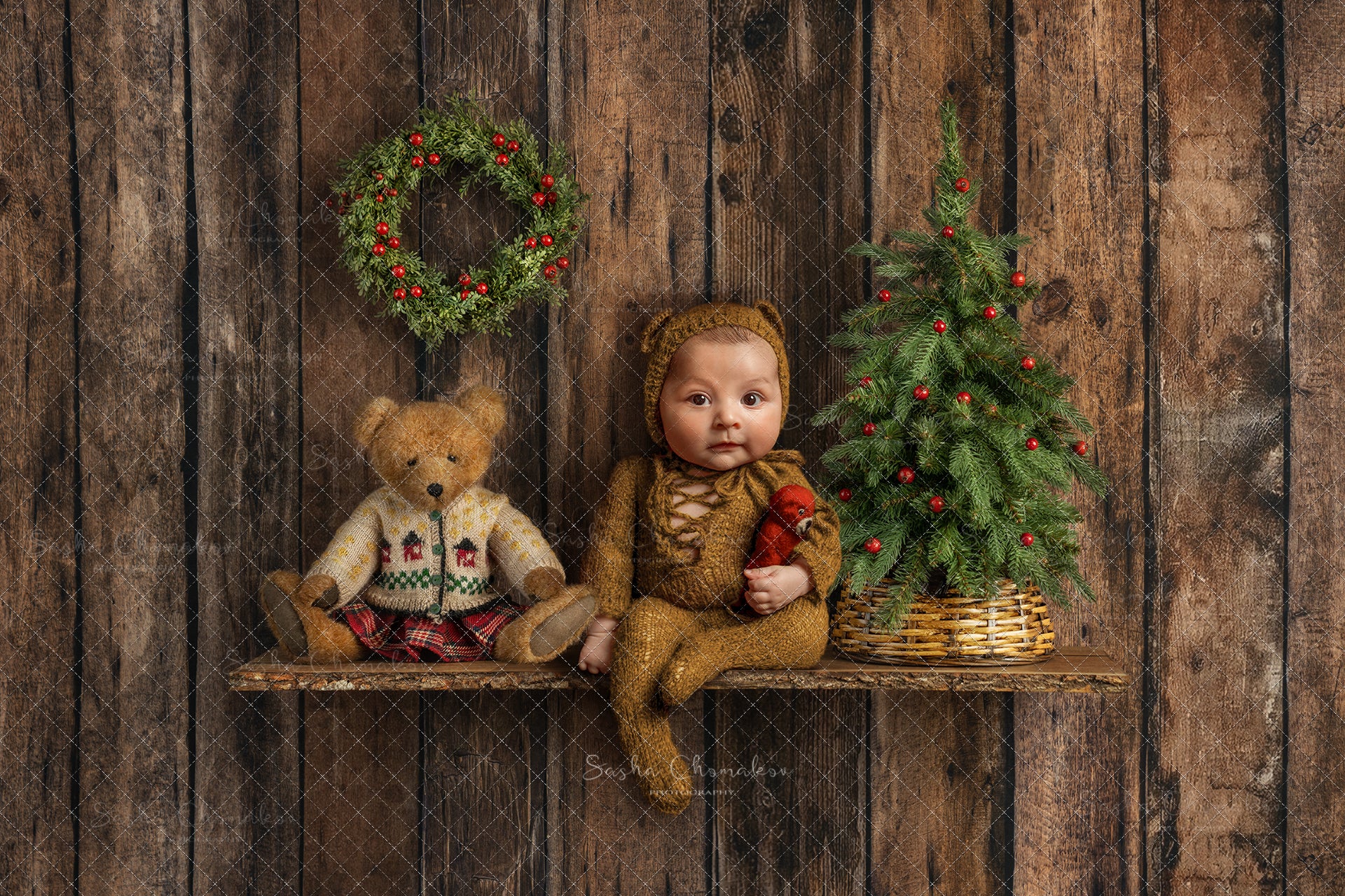 Digital Backdrop