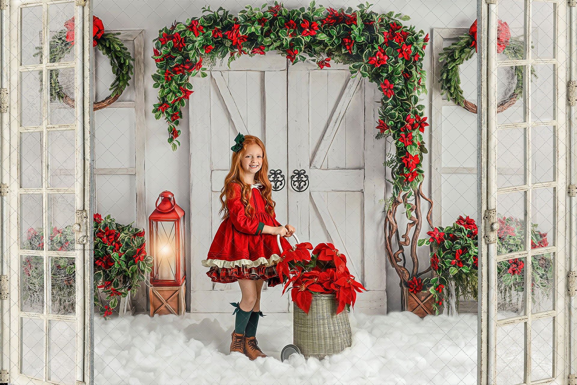Digital window overlays