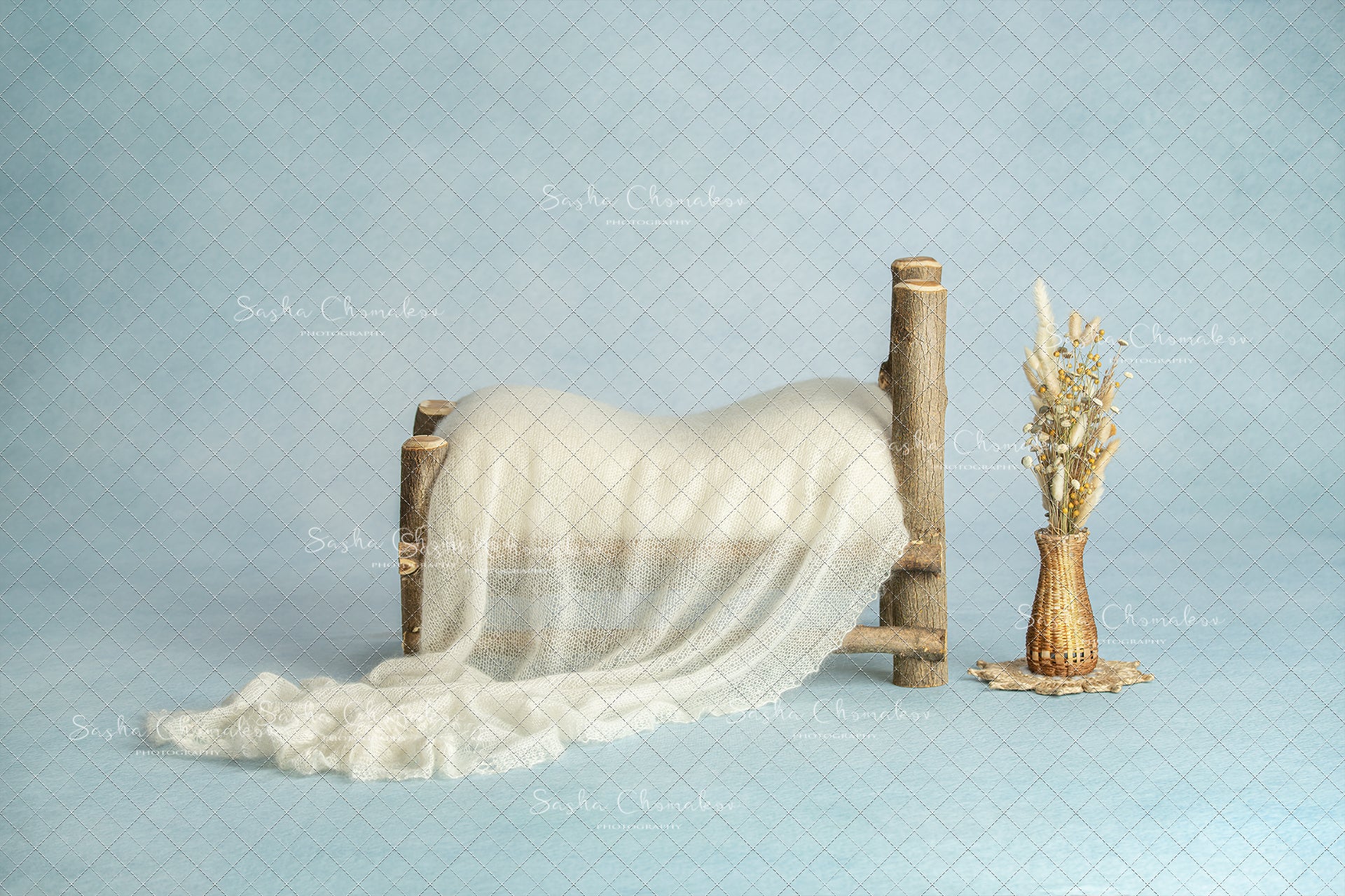 Digital Backdrop
