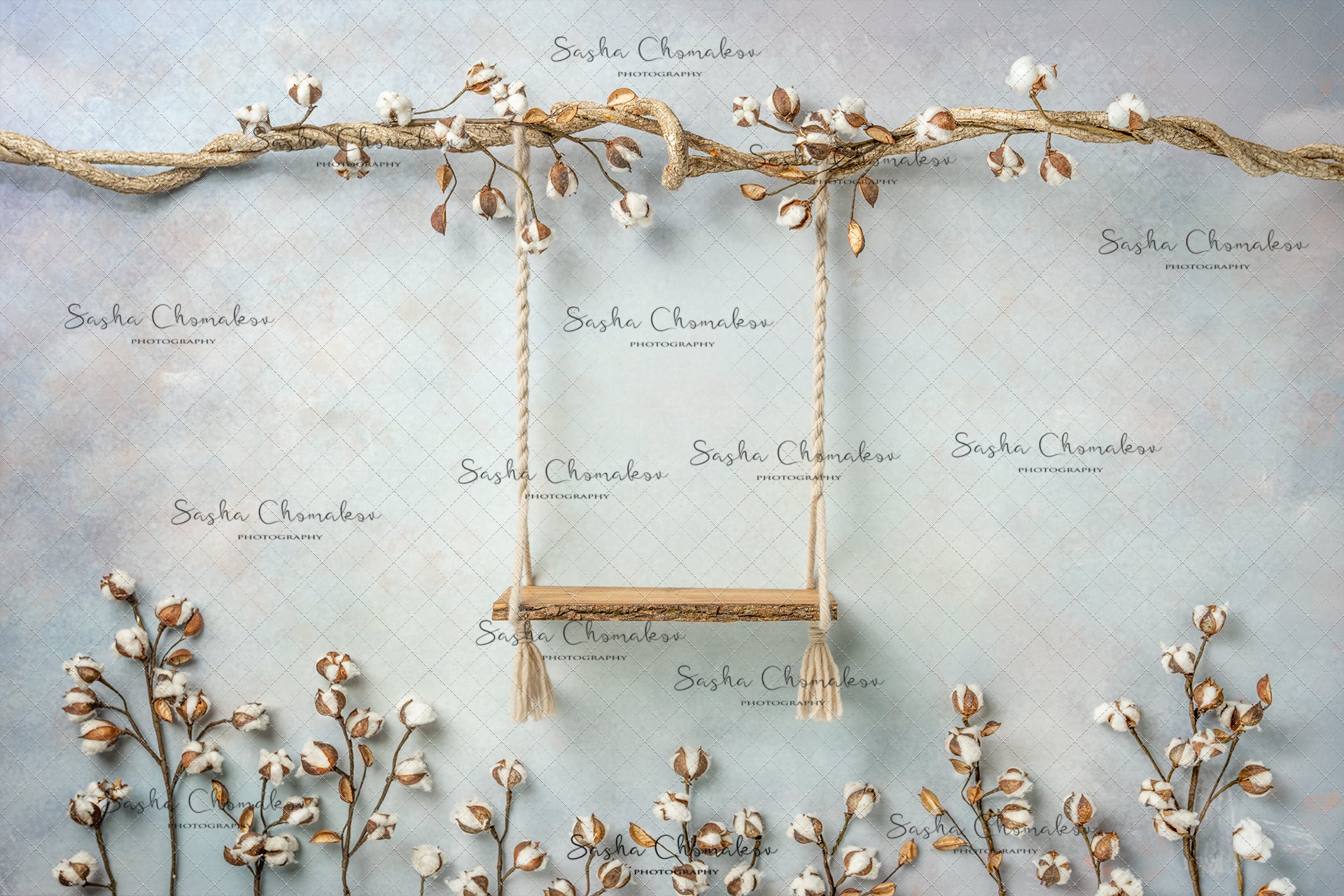 Digital Backdrop