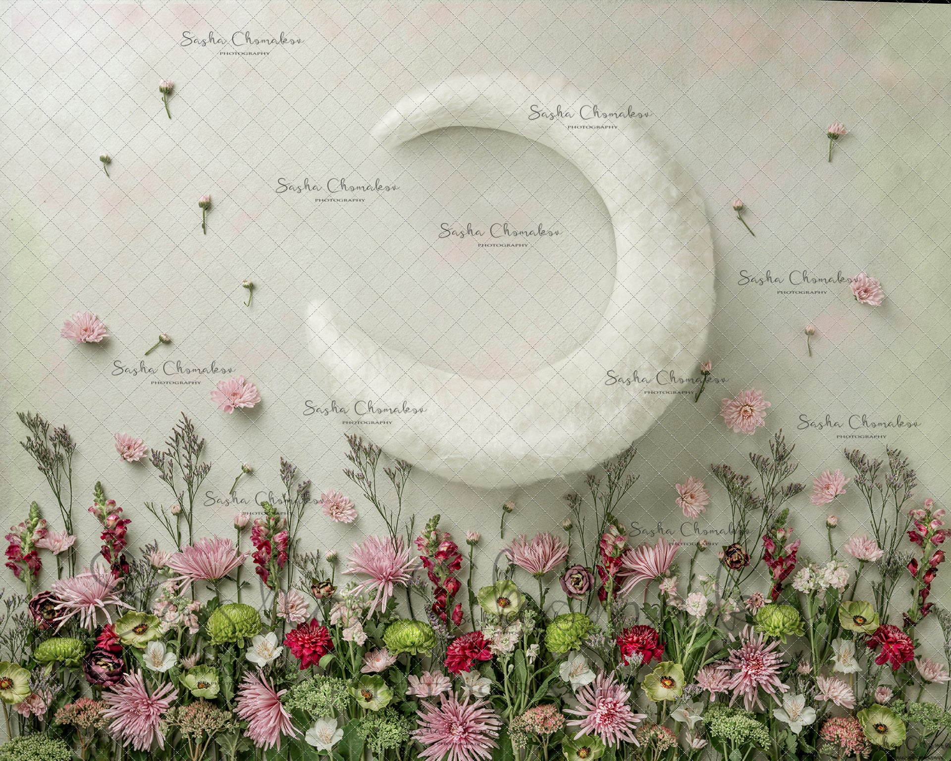 Digital Backdrop