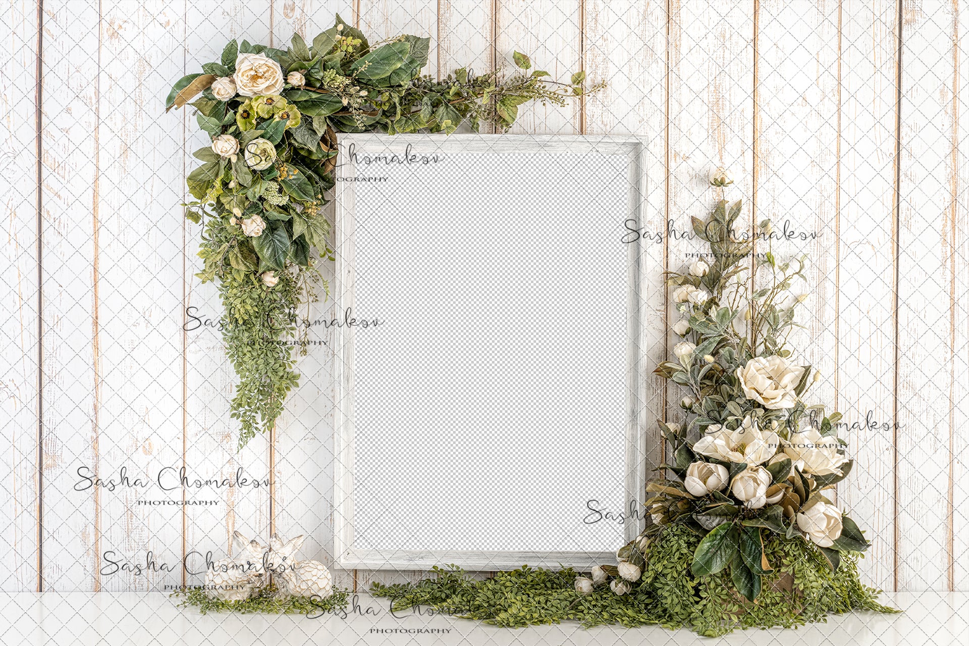 Digital Backdrop