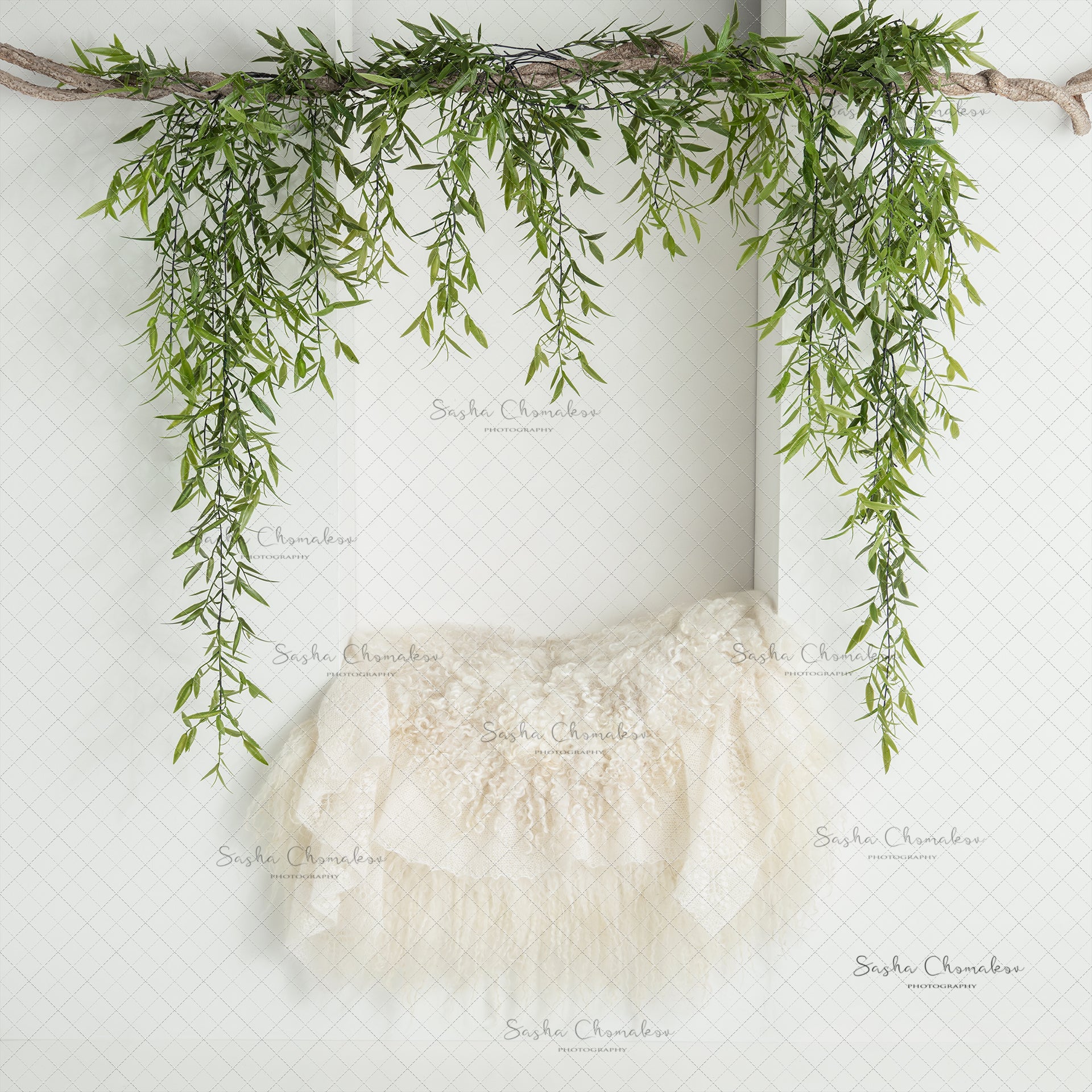 Digital Backdrop