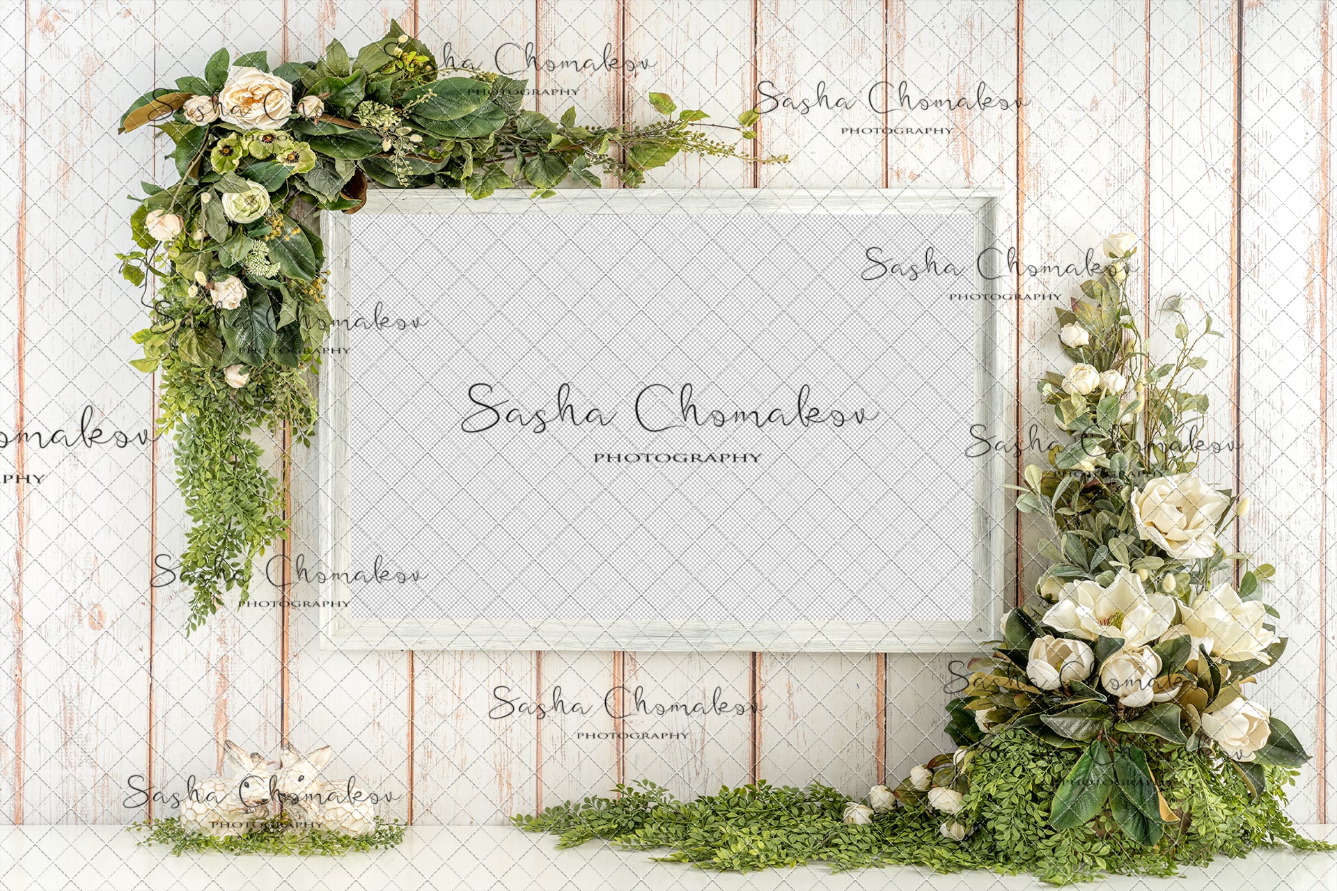 Digital Backdrop