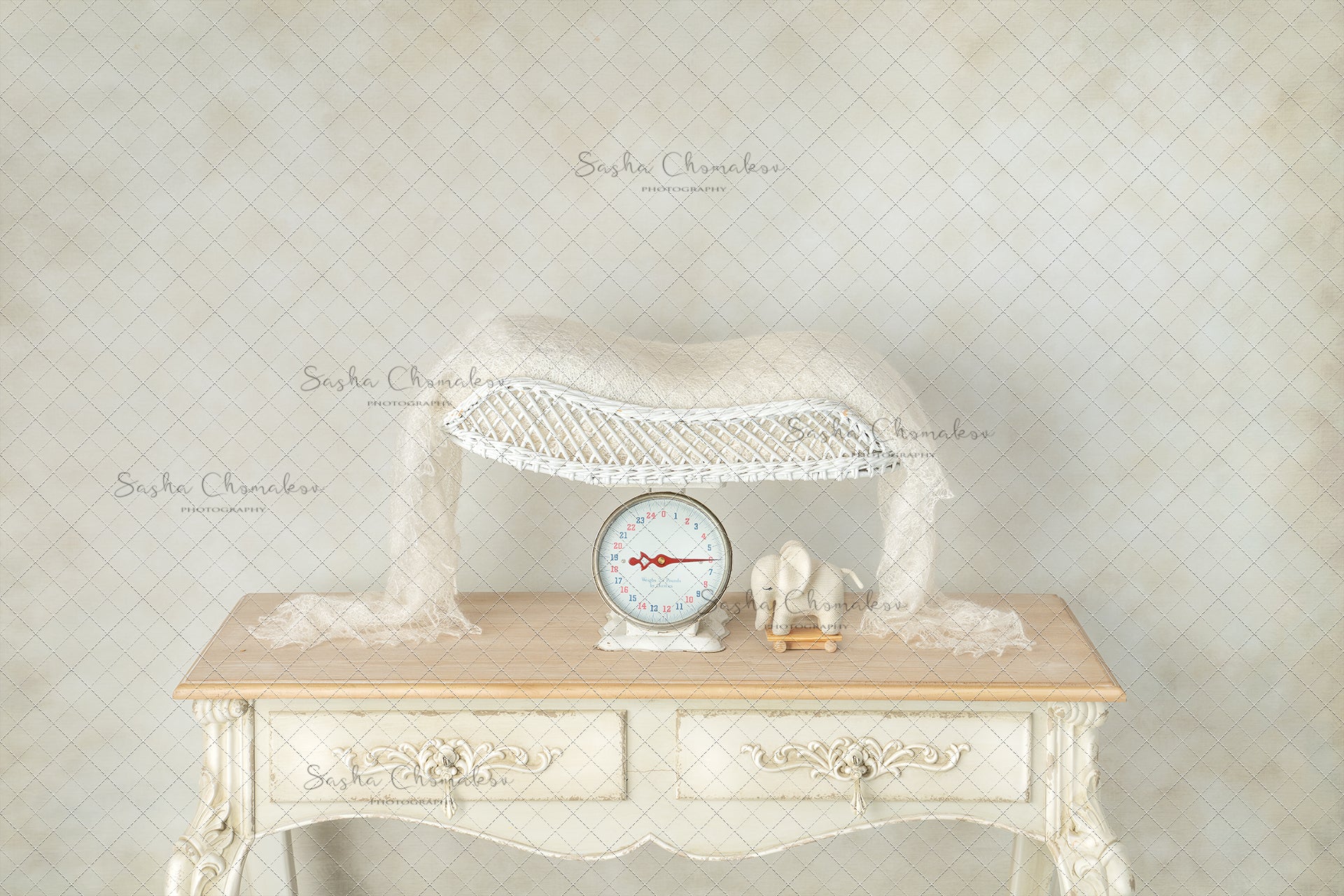 Digital Backdrop