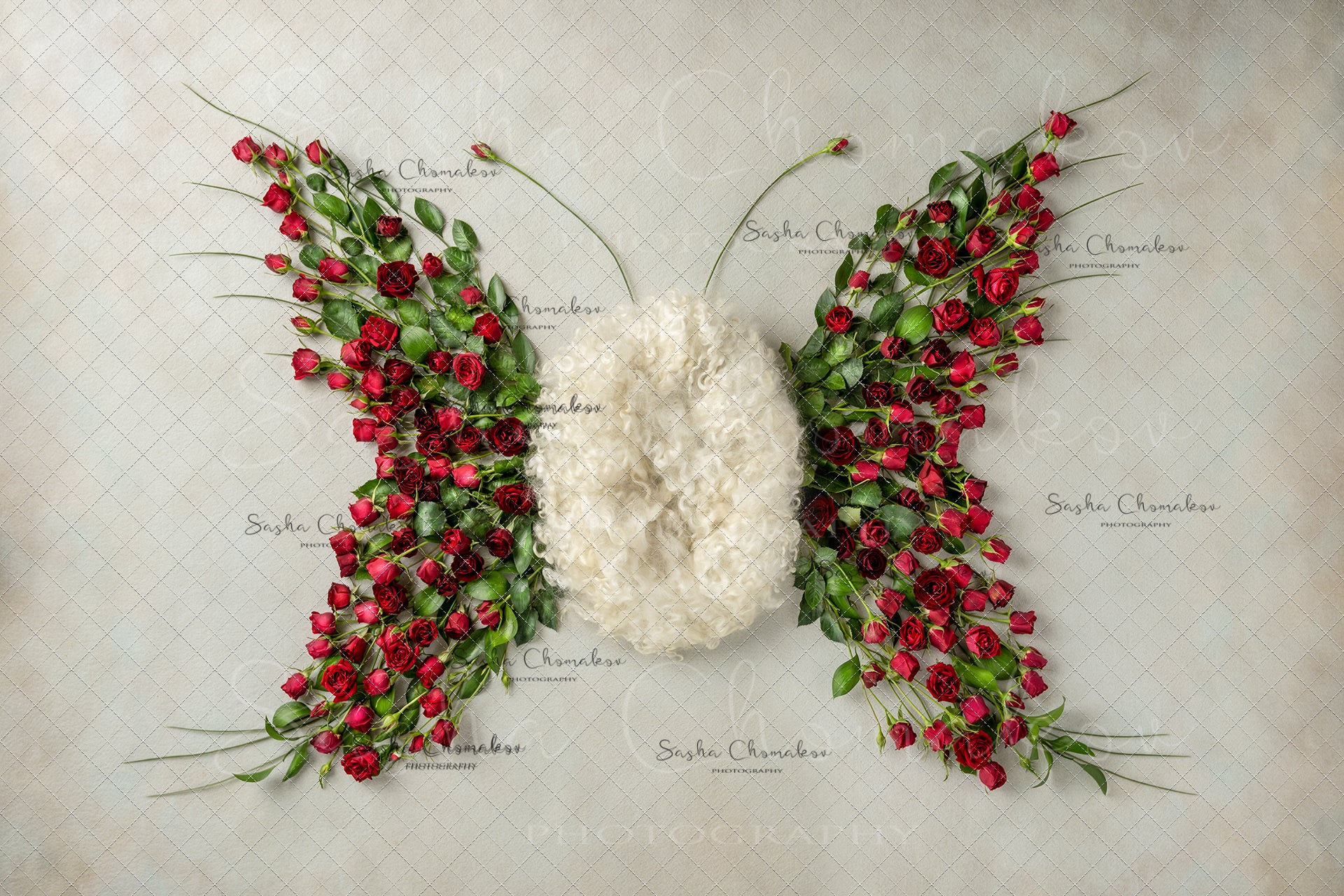 Digital Backdrop