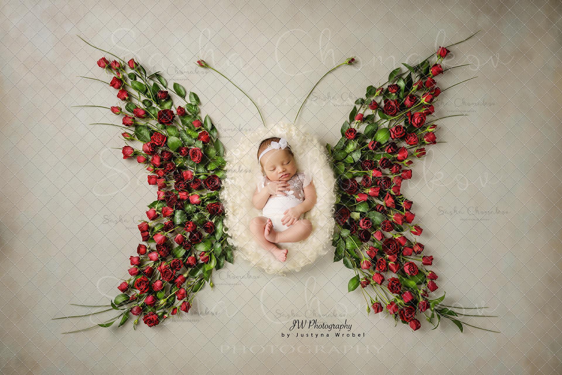 Digital Backdrop
