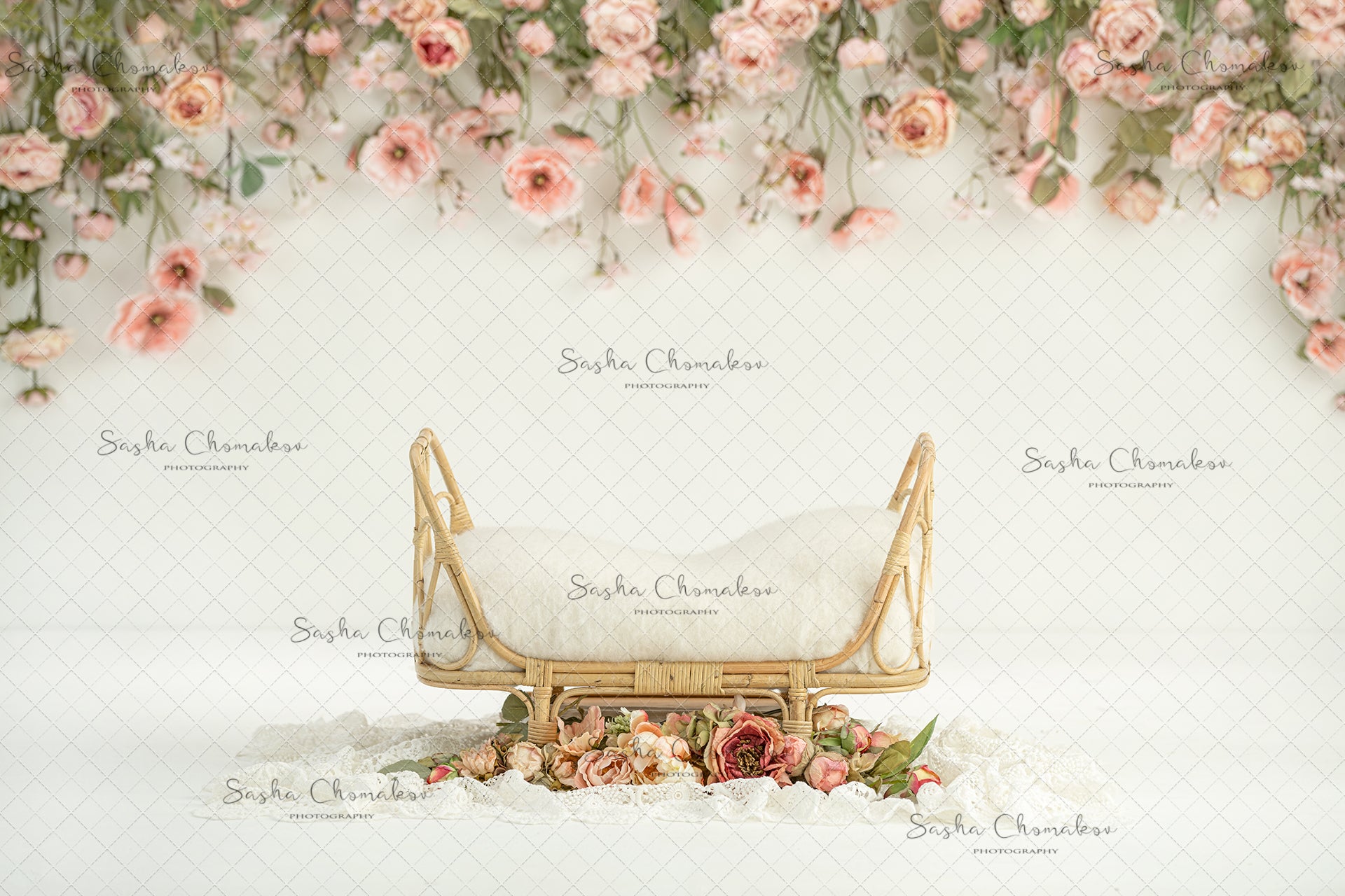 Digital Backdrop