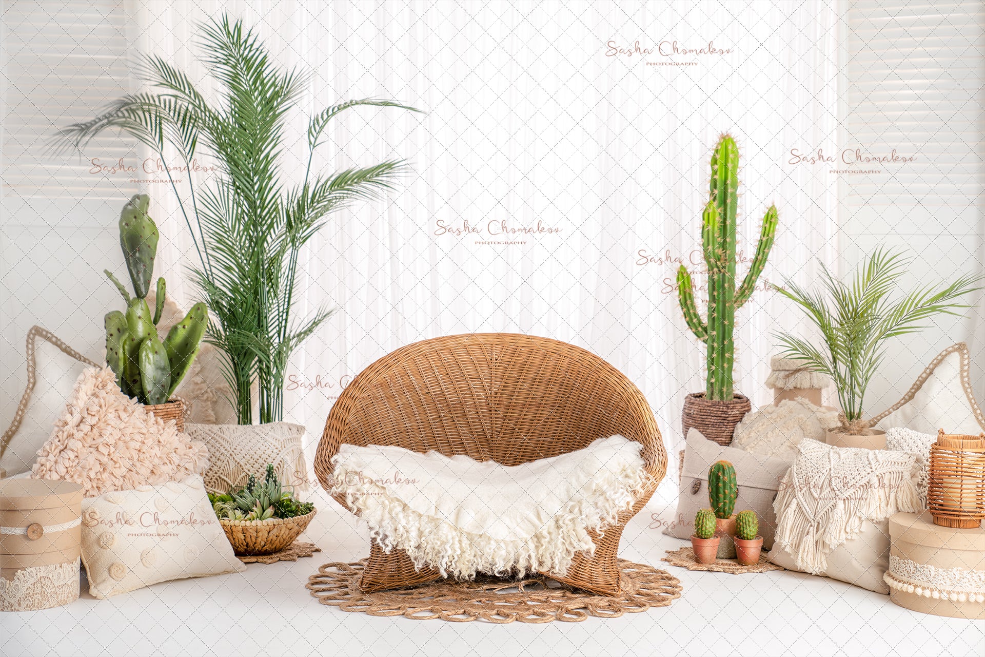 Digital Backdrop