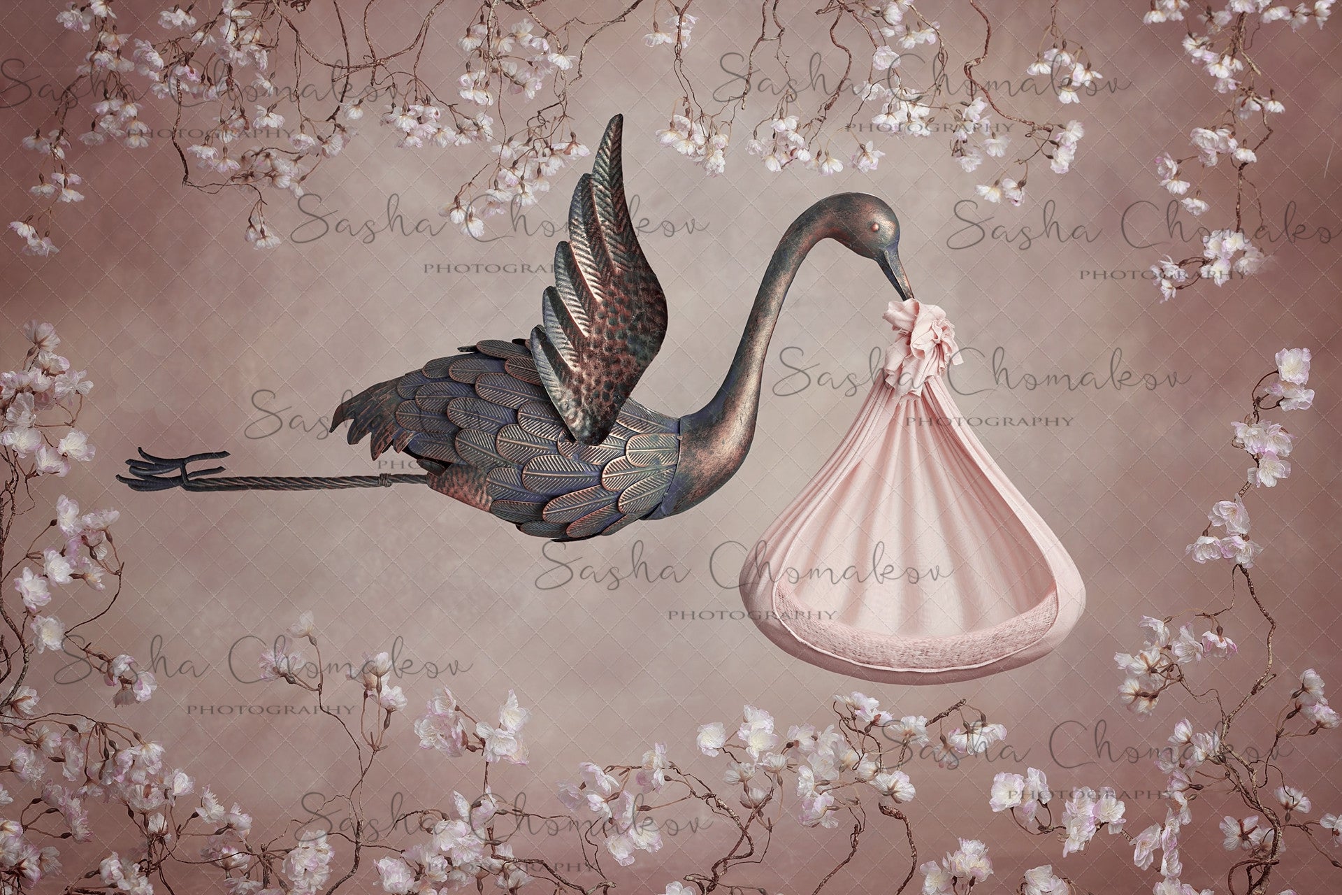 Digital Backdrop