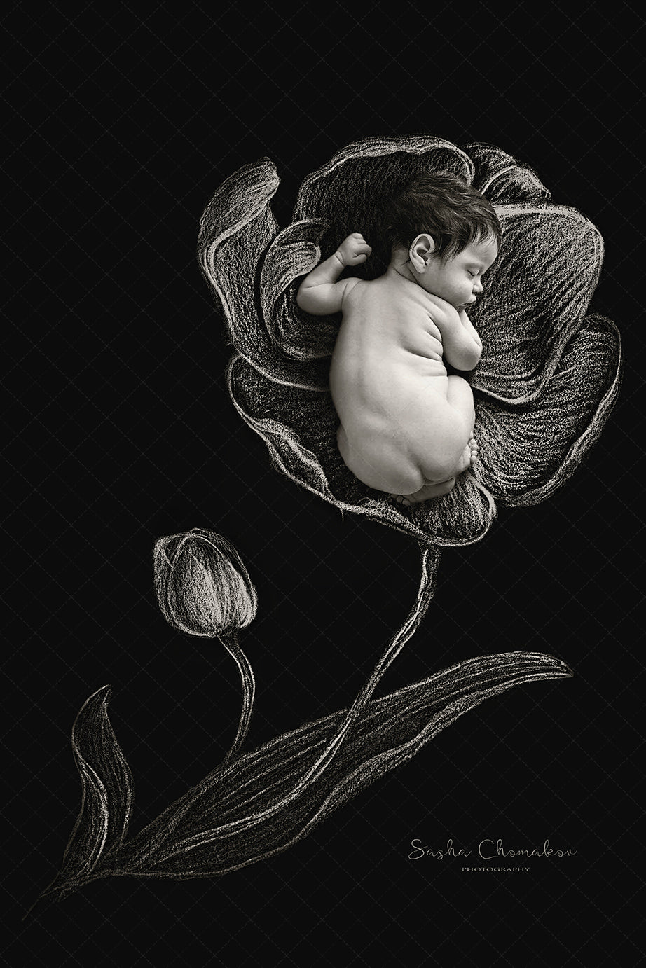 Digital Backdrop