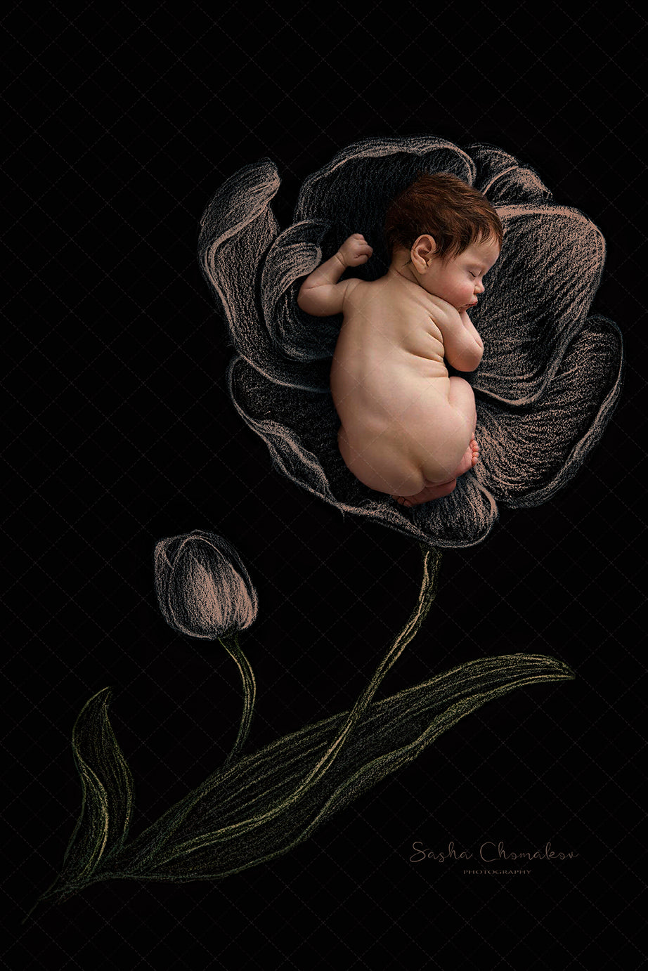 Digital Backdrop