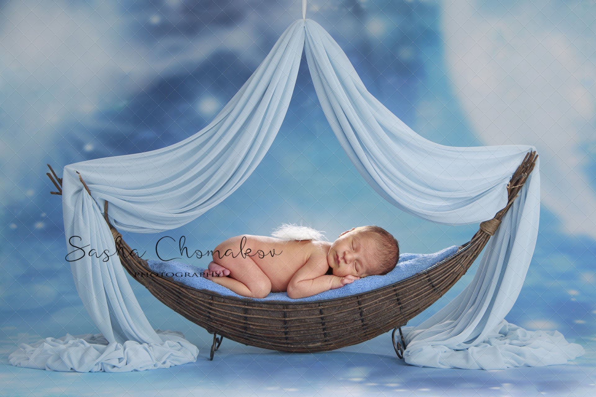 Discount Digital Backdrop