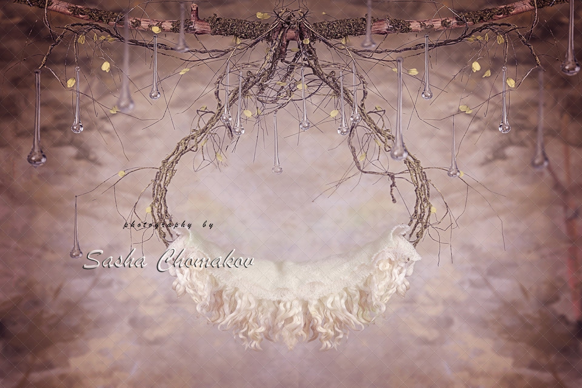 Digital Backdrop