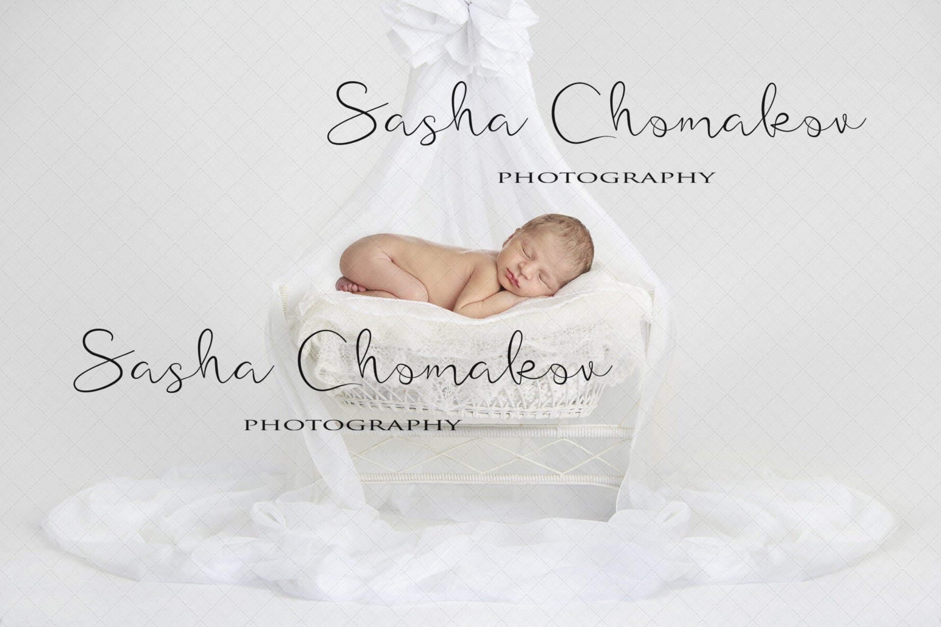 Discount Digital Backdrop