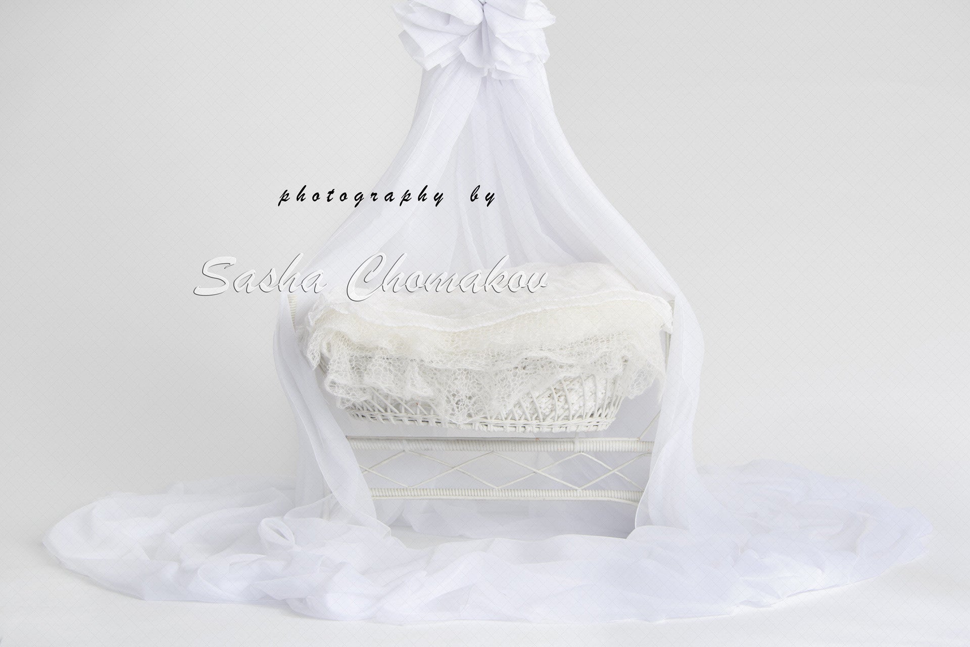Discount Digital Backdrop