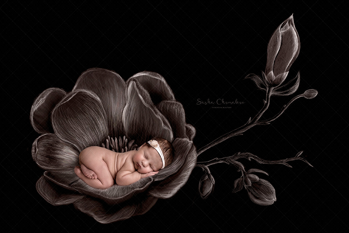 Digital Backdrop