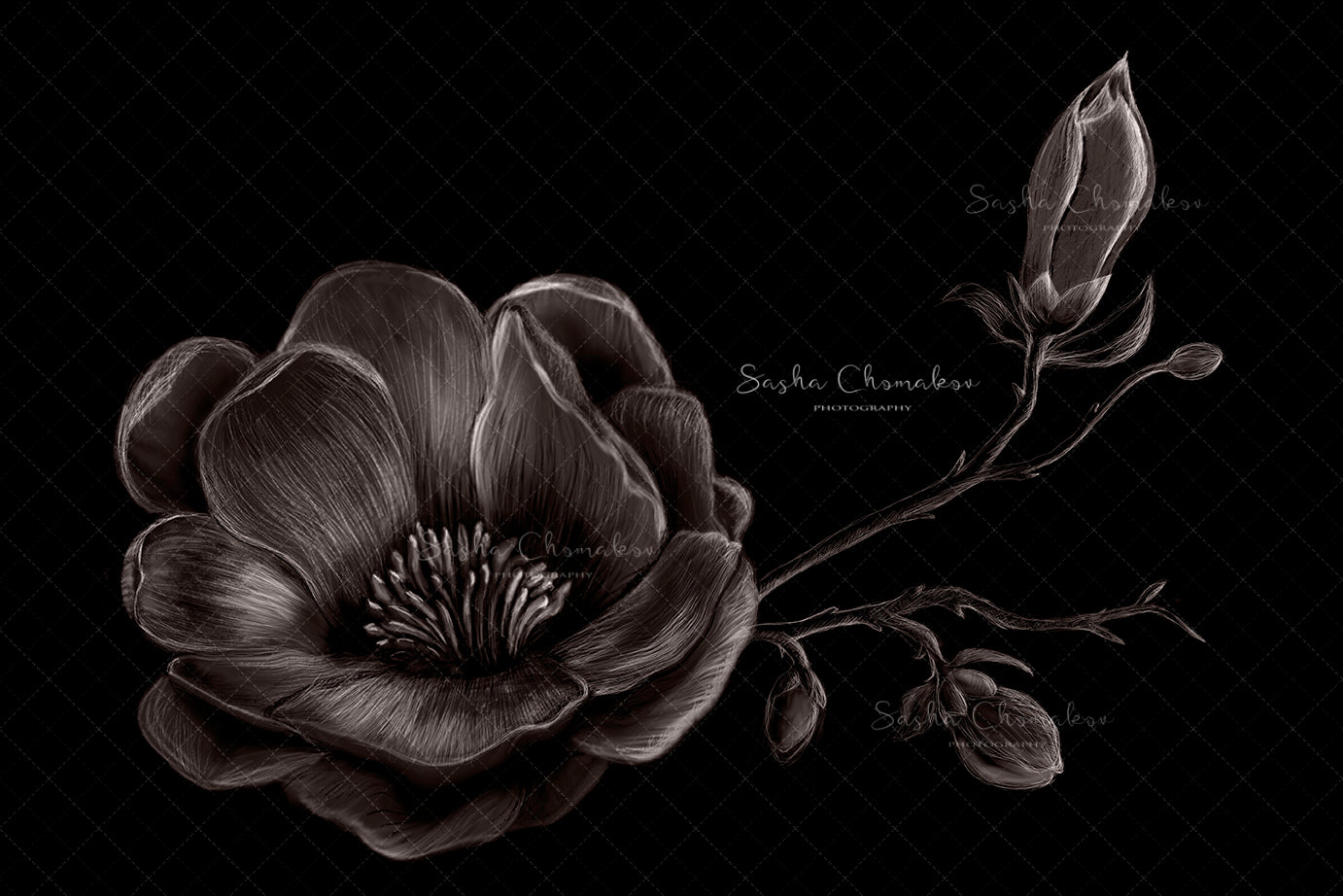 Digital Backdrop