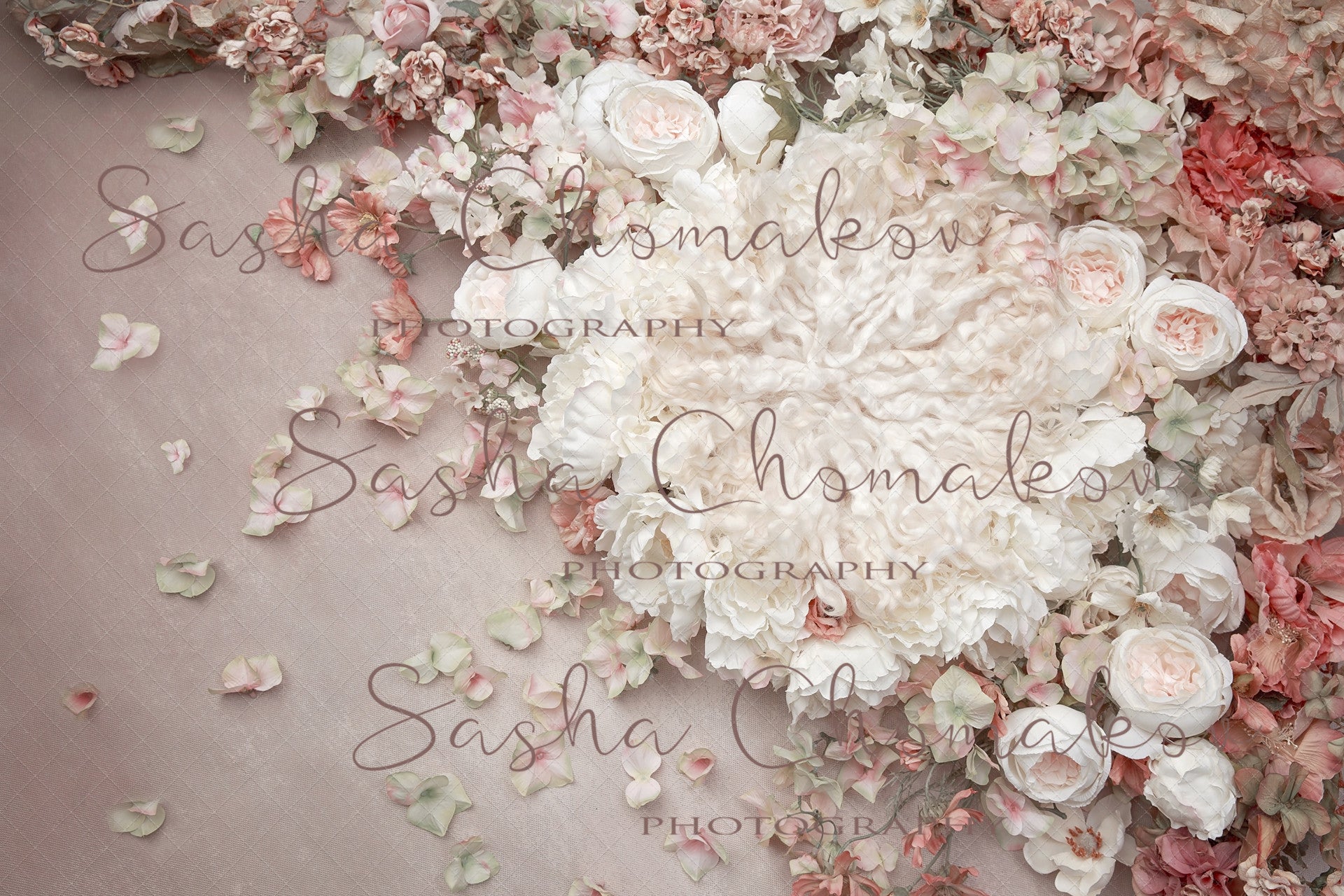 Digital Backdrop
