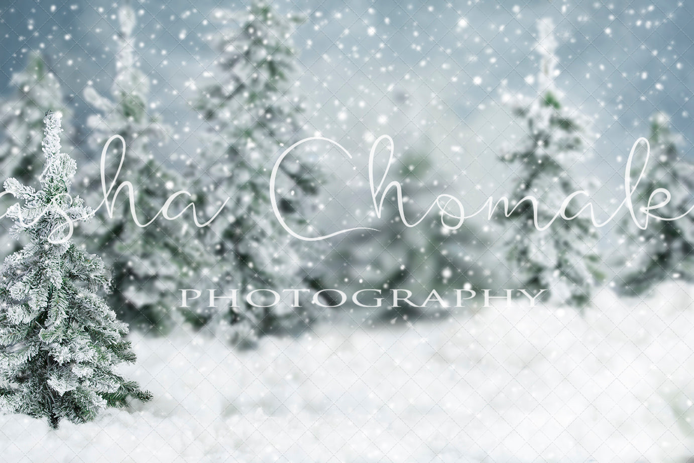 Digital Backdrop