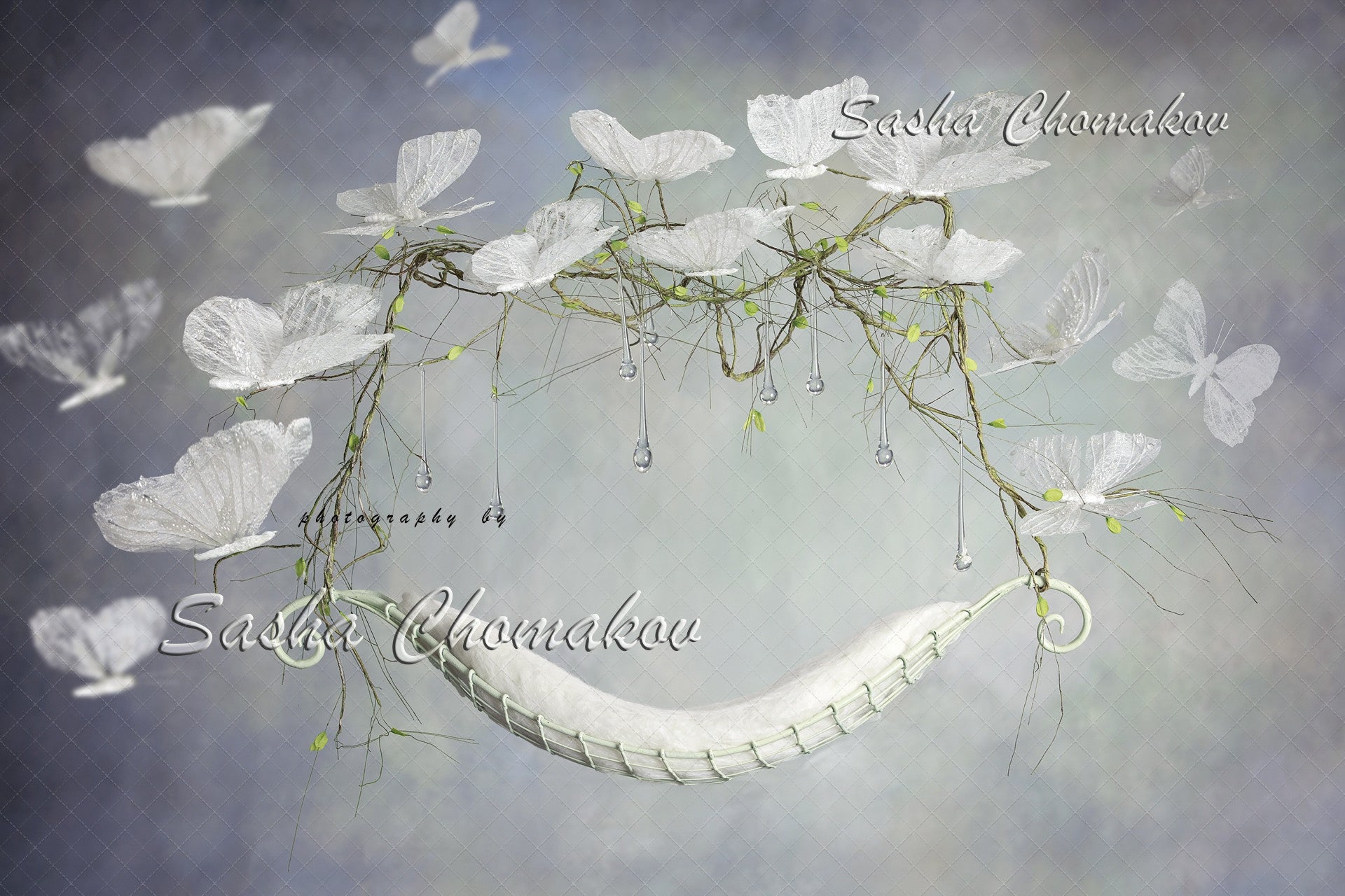 Digital Backdrop
