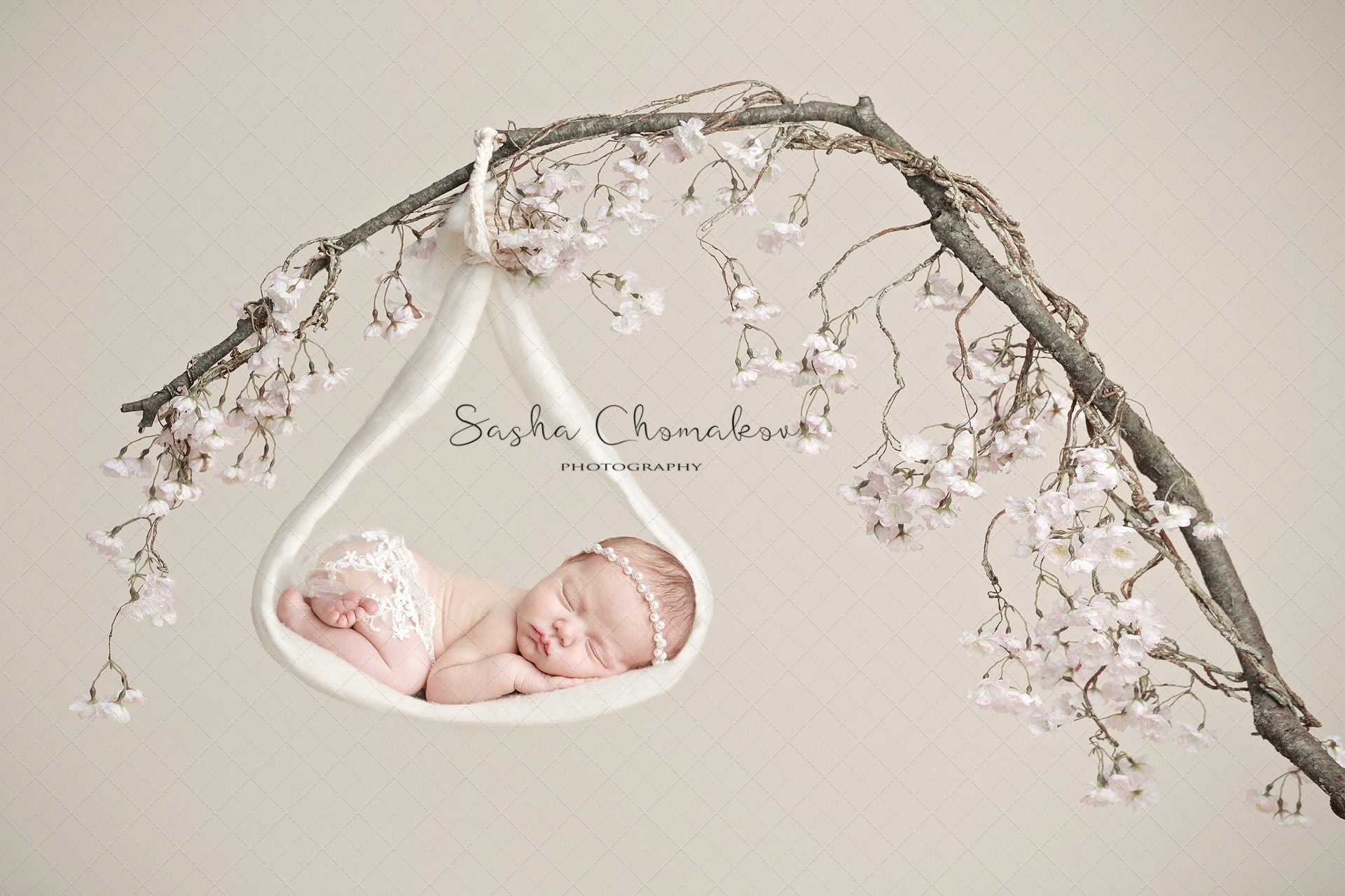 Digital Backdrop