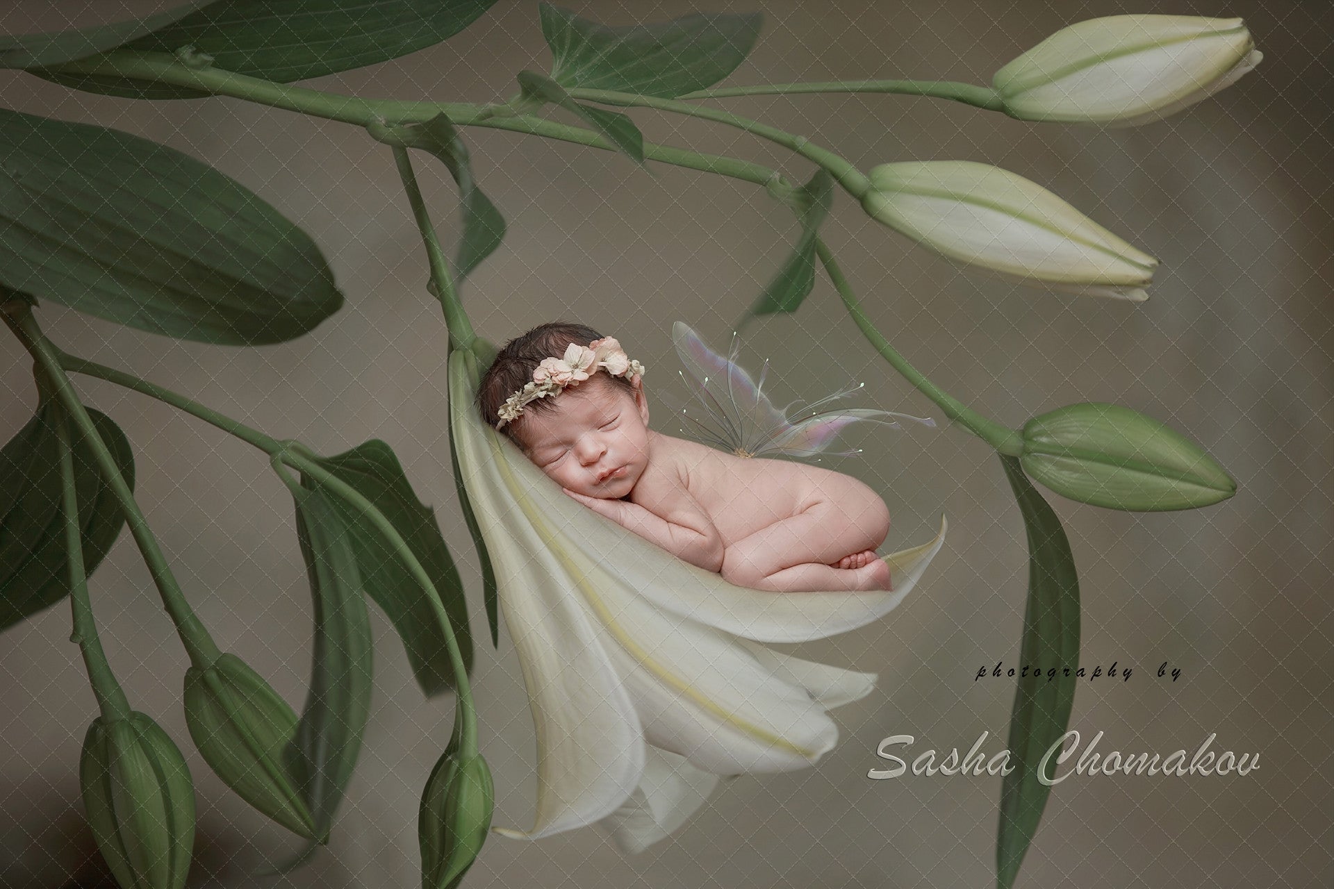 Digital Backdrop
