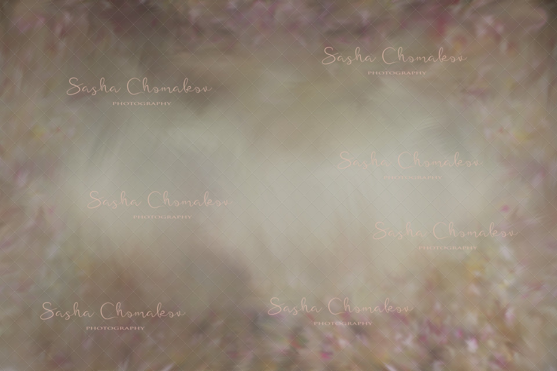 Hand Painted Digital Backdrop