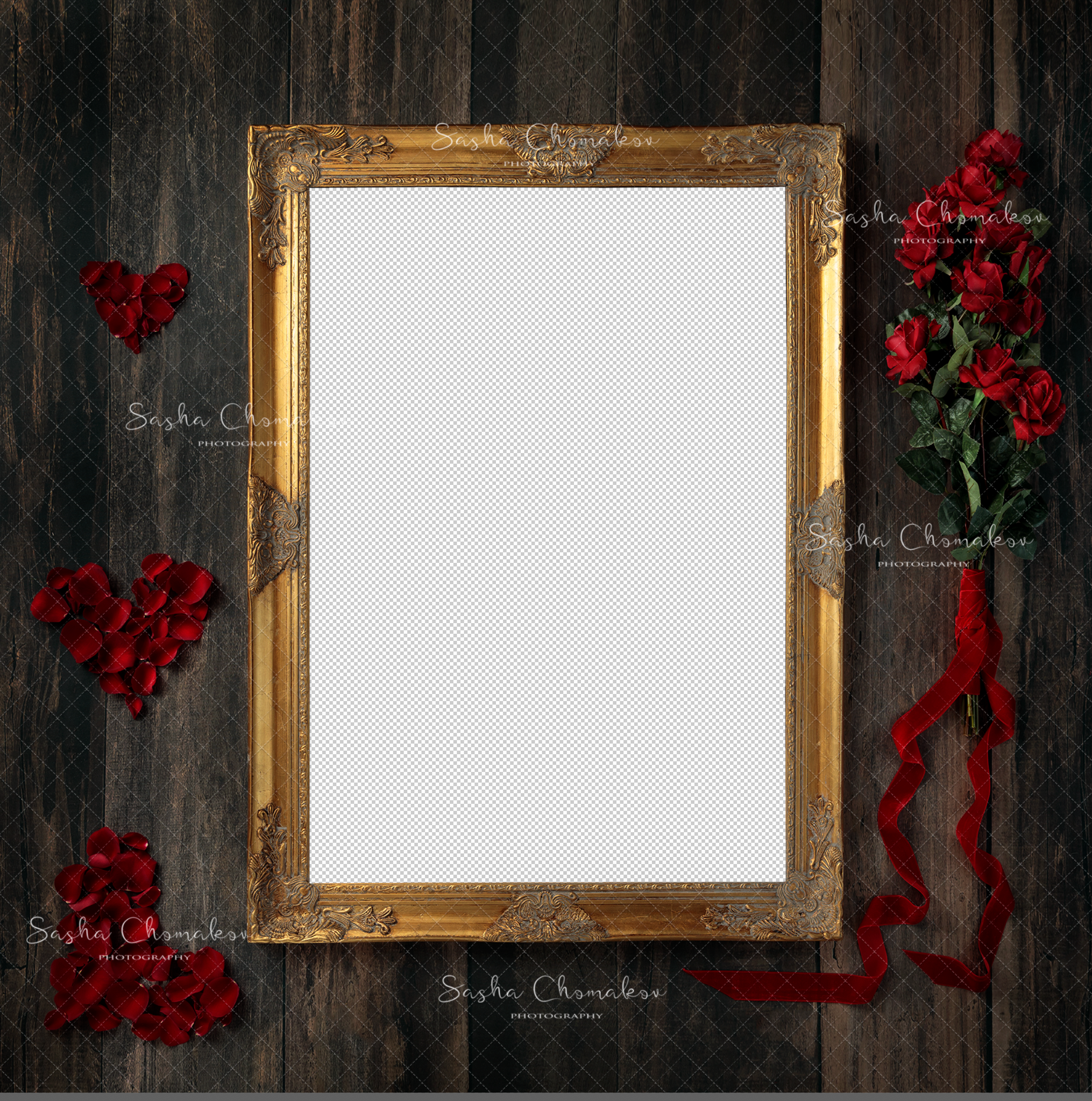 Digital Backdrop
