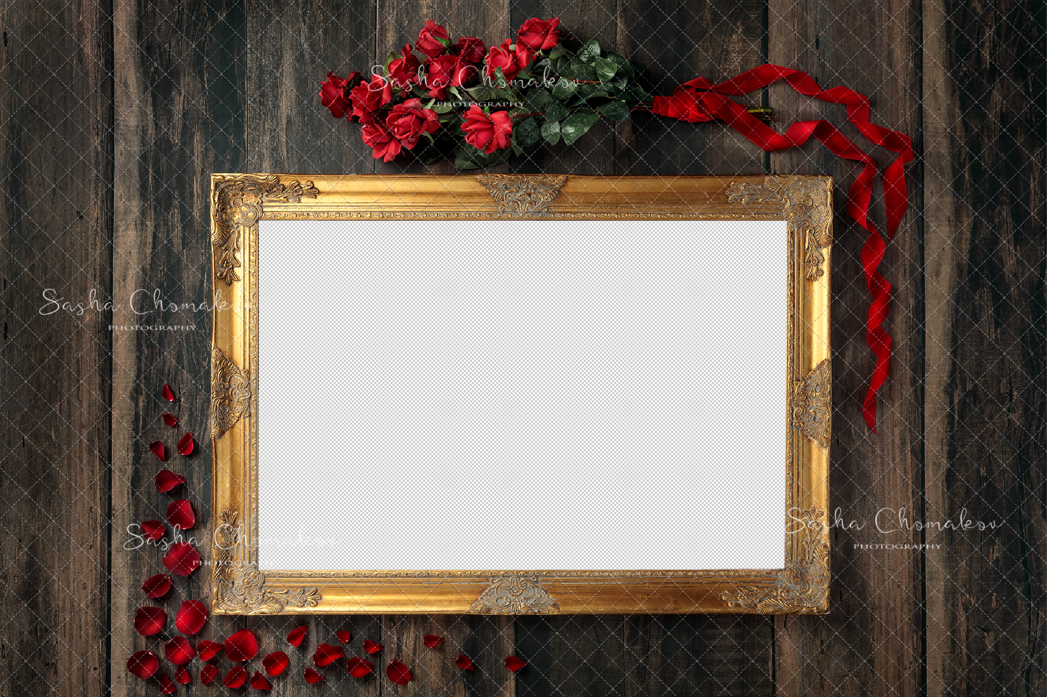 Digital Backdrop
