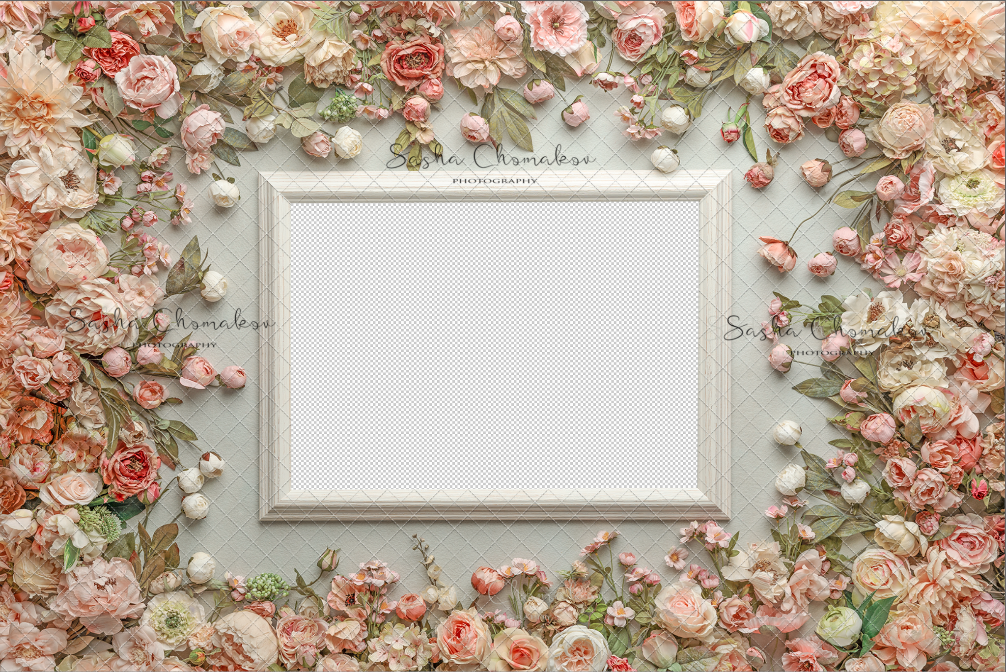 Digital Backdrop