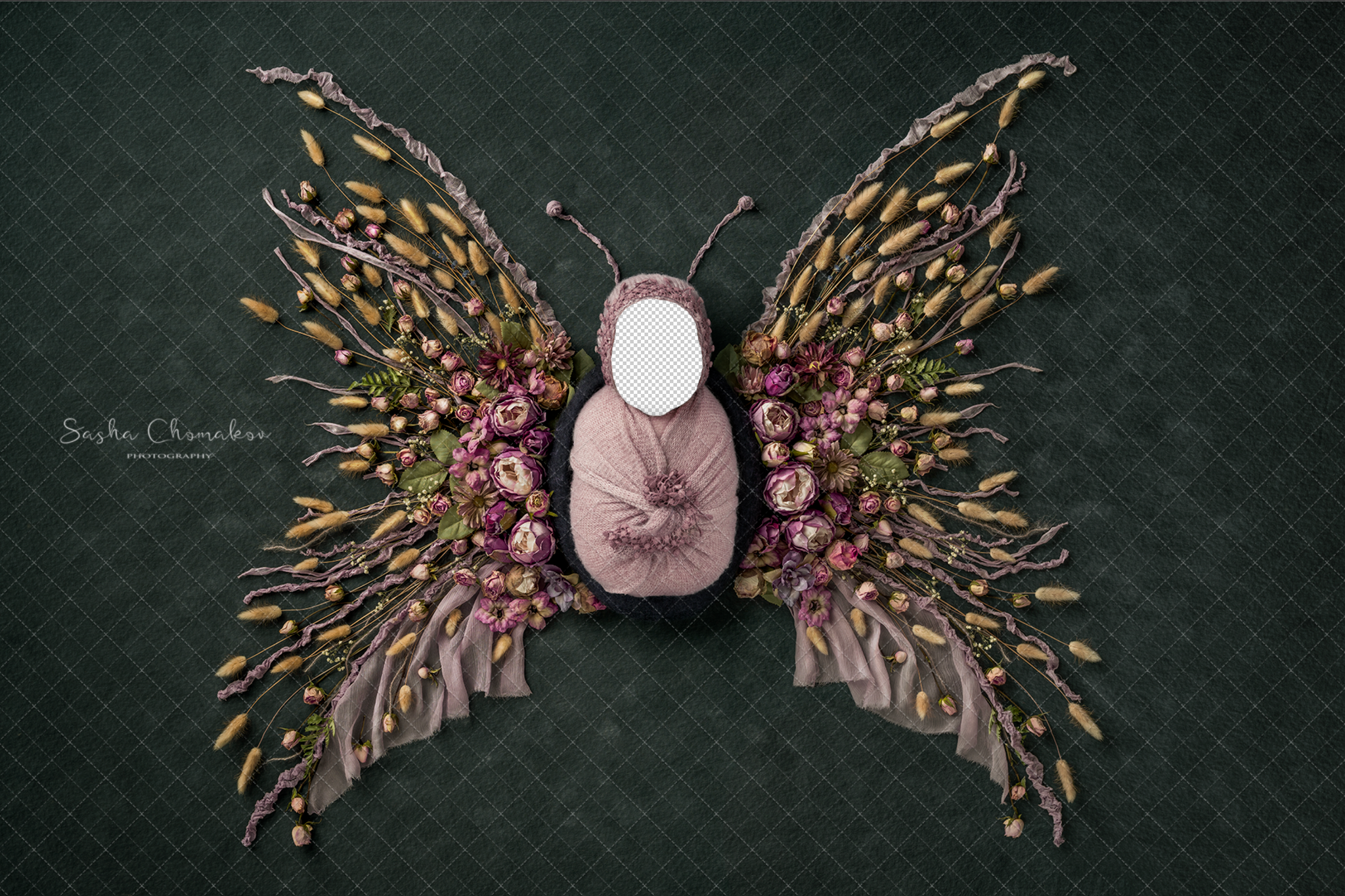 Digital Backdrop