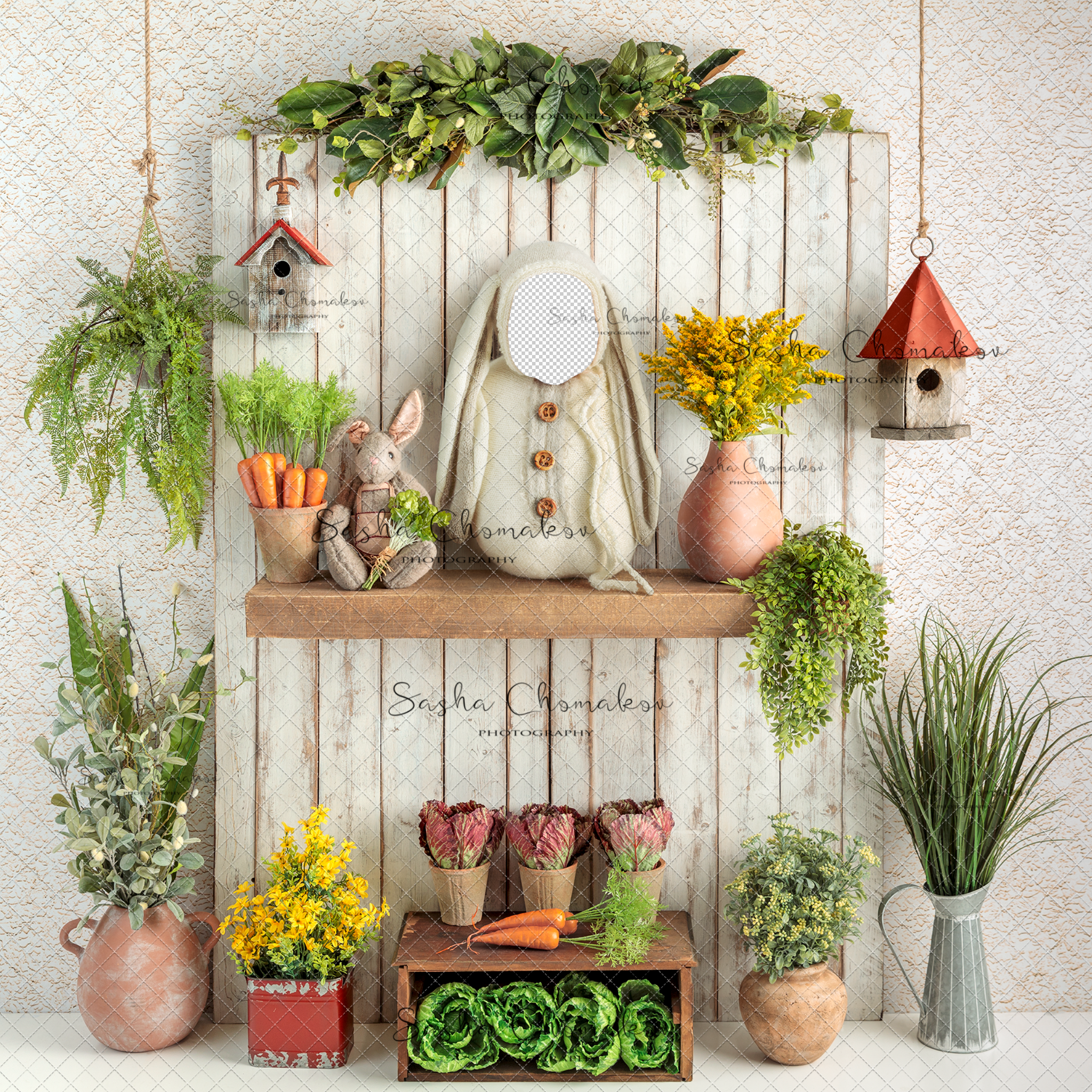 Digital Backdrop