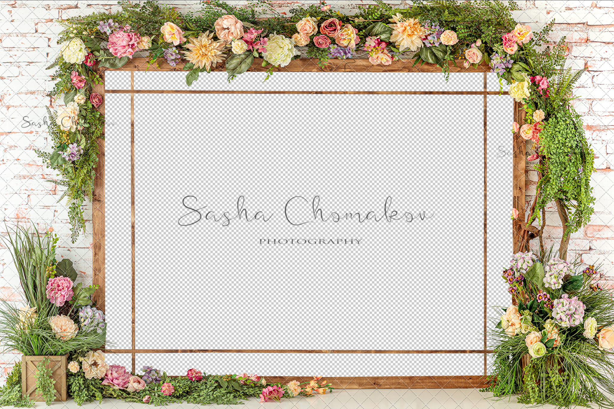 Digital Backdrop