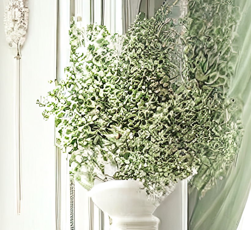 Digital Backdrops light green victorian rooms Ai generated