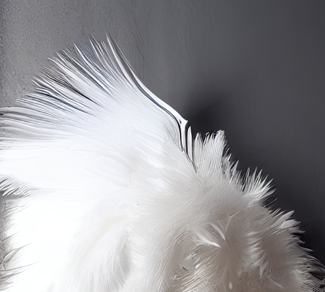 Digital Backdrops wings set 3 Ai generated