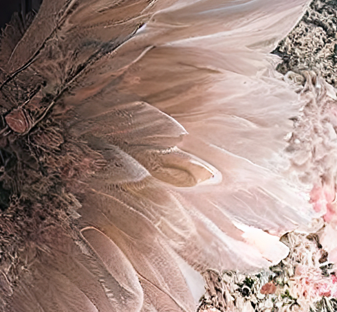 Digital Backdrops wings set 4 Ai generated
