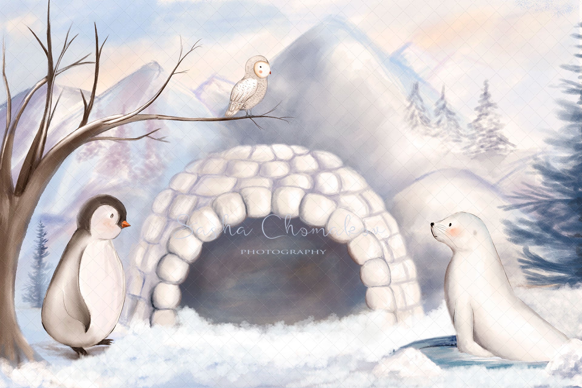 Digital Backdrop