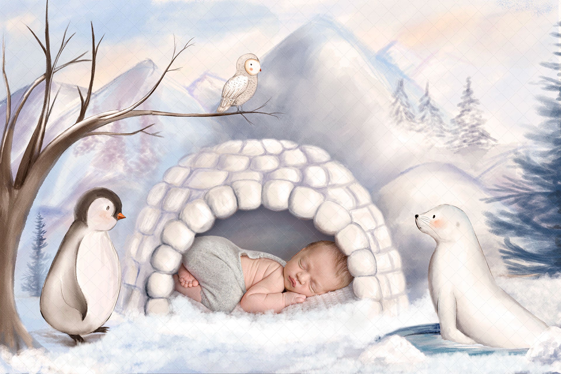 Digital Backdrop