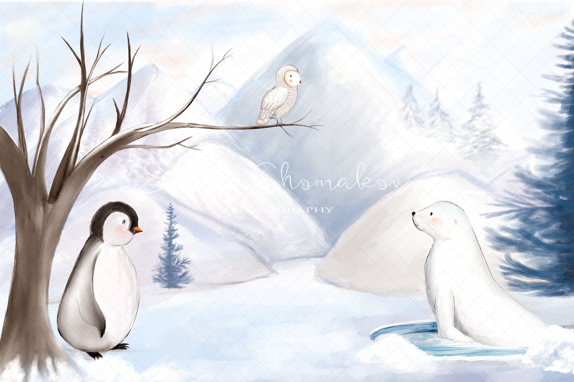 Digital Backdrop