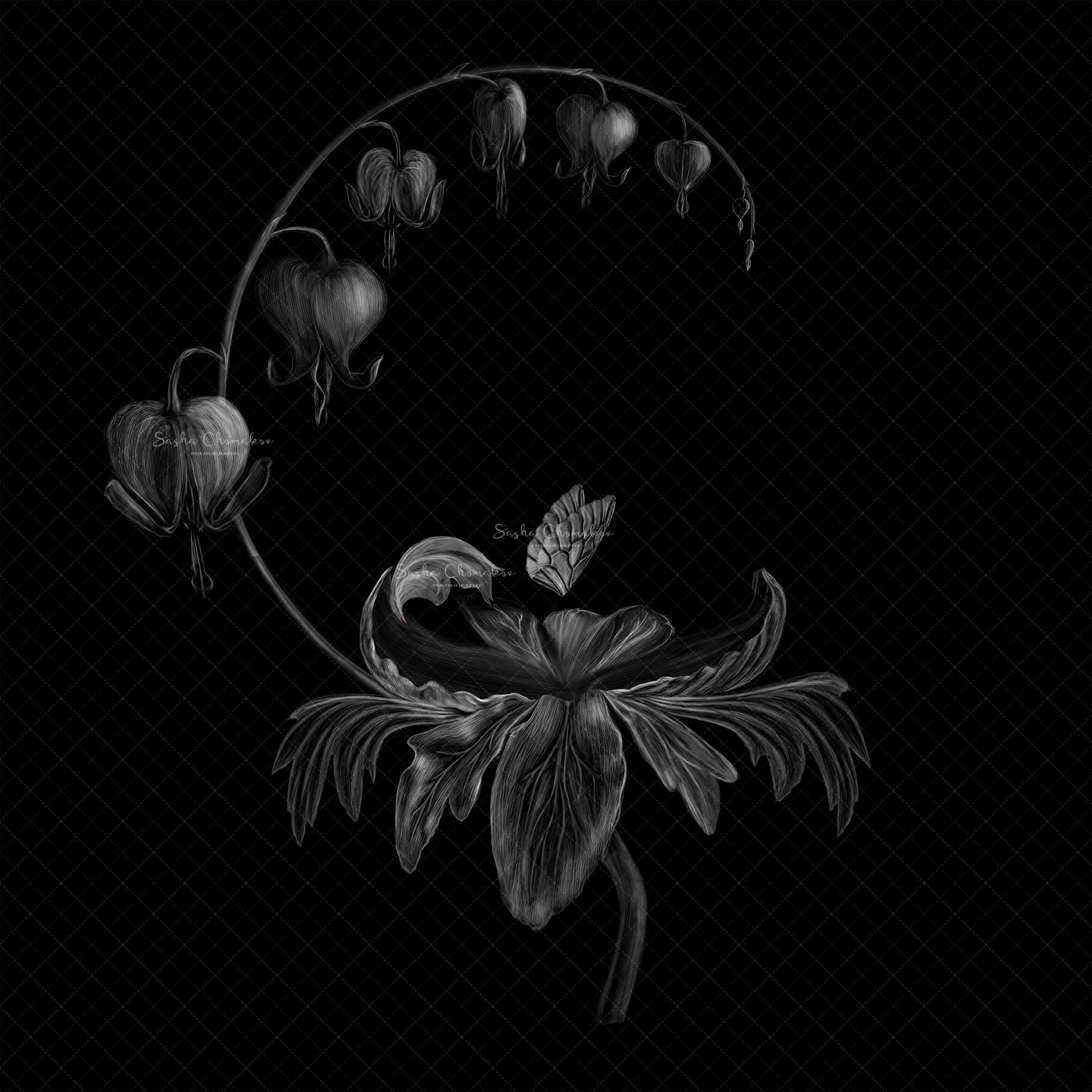 Digital Backdrop