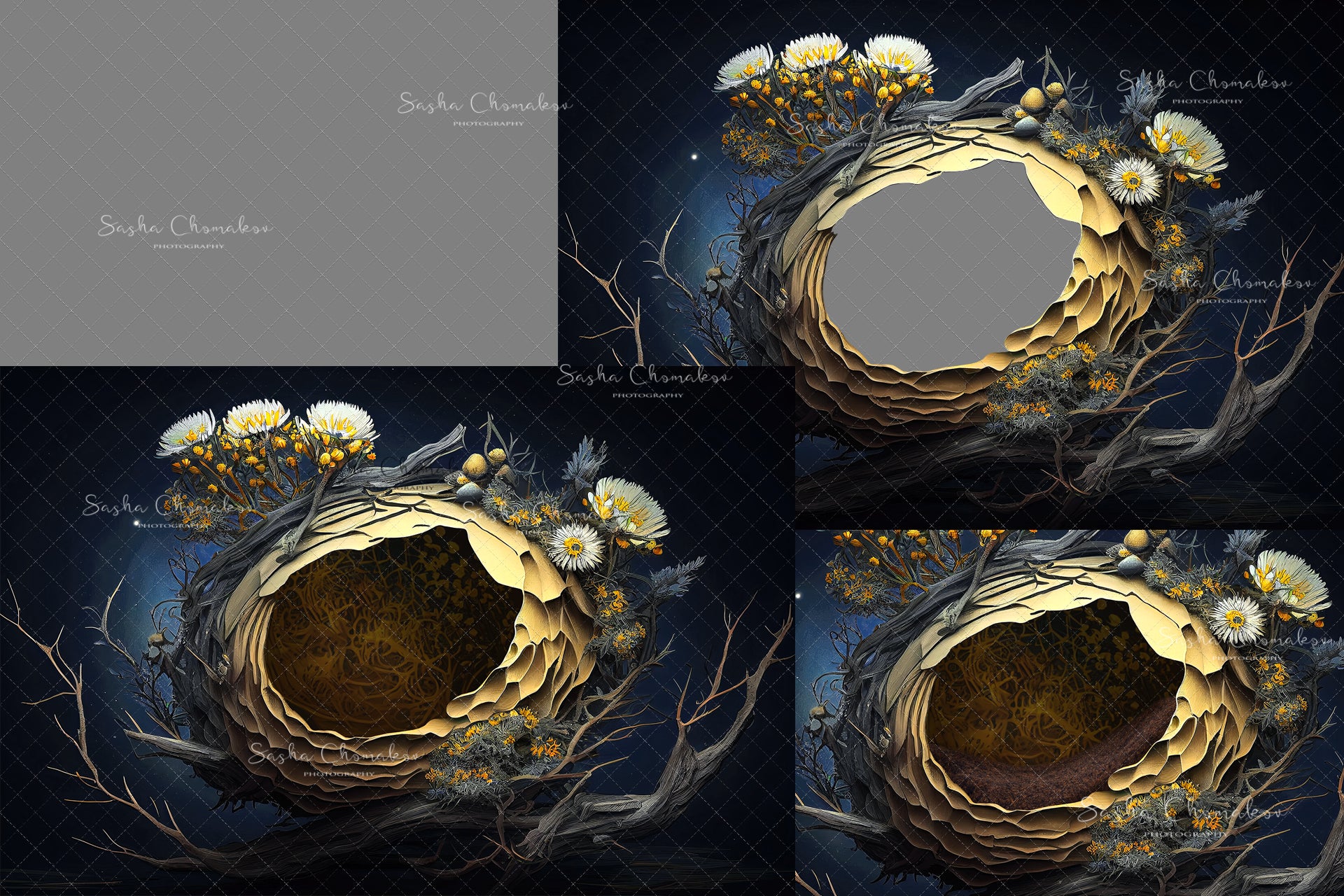 Digital Backdrop Ai generated and hand painting