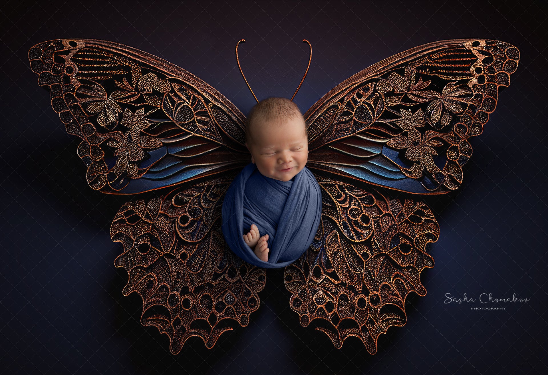 Backdrop butterflies dark brown and blues Ai generated