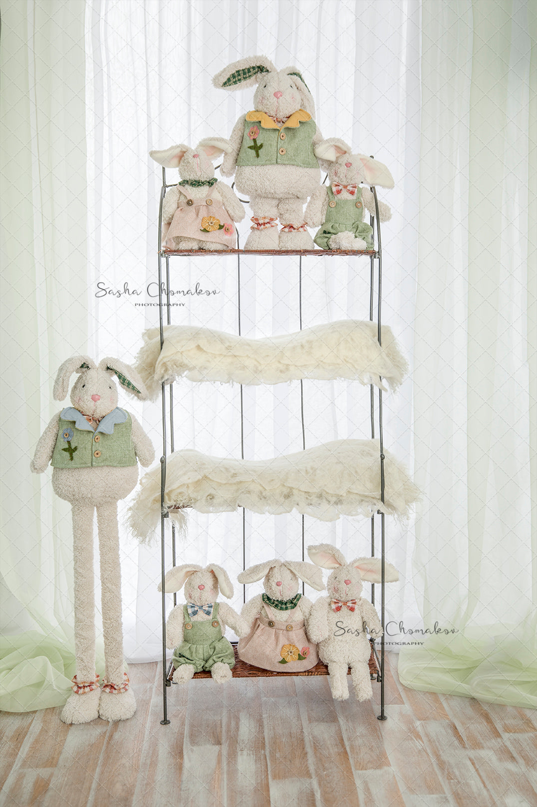 Digita Backdrop
