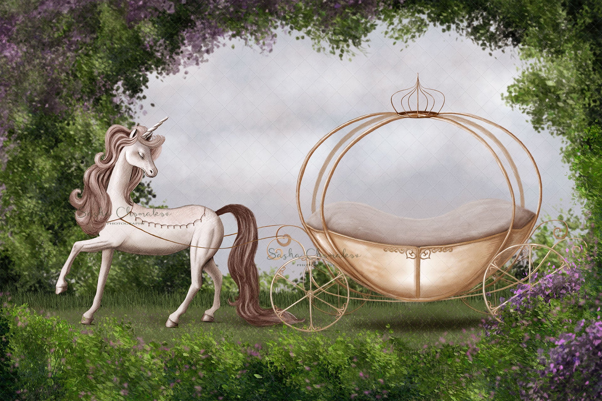 Digital Backdrop
