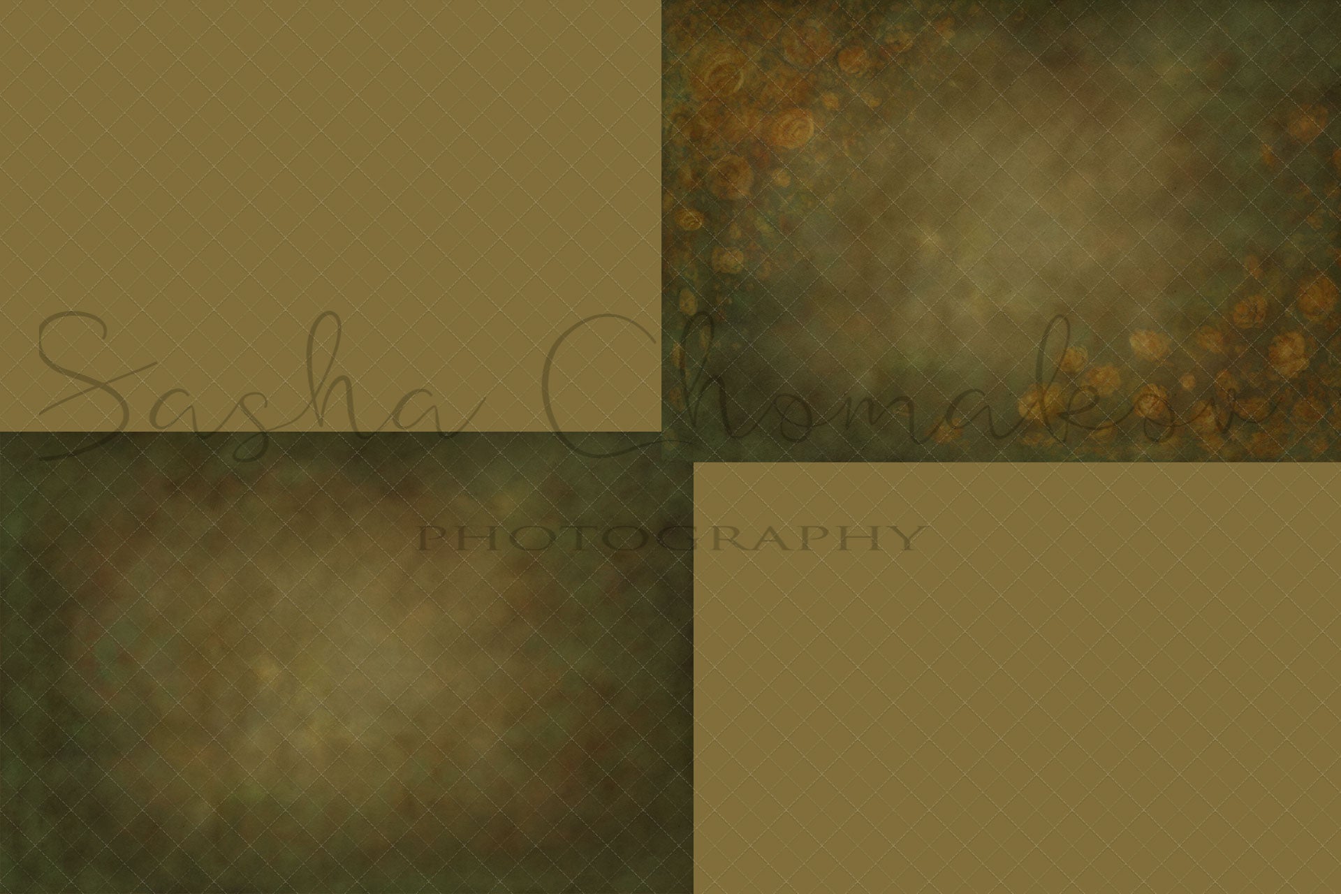 Hand Painted Digital Backdrops