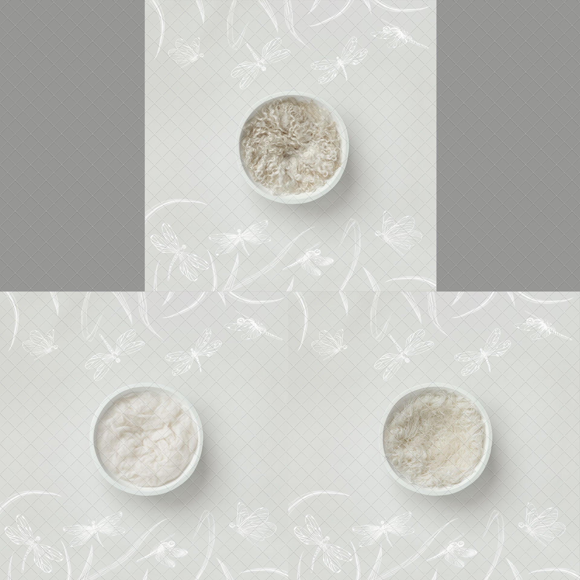 Digital Backdrop